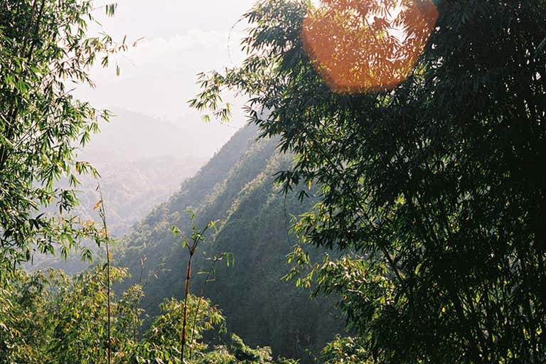 4576275002_55fa649273_o-LOWRES.jpg