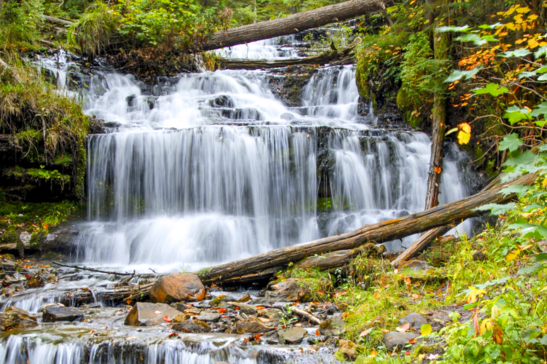 Spring in Michigan: 9 Best Places to Visit