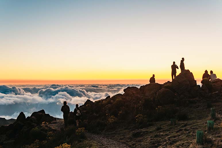 The Best Time To Visit Madeira: A Month-By-Month Guide