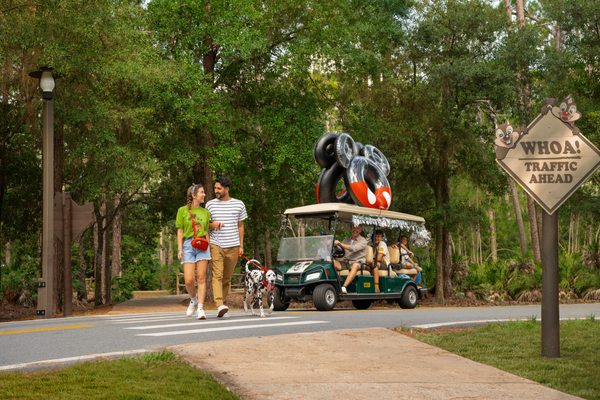 The Cabins at Disney's Fort Wilderness Resort - foto 2