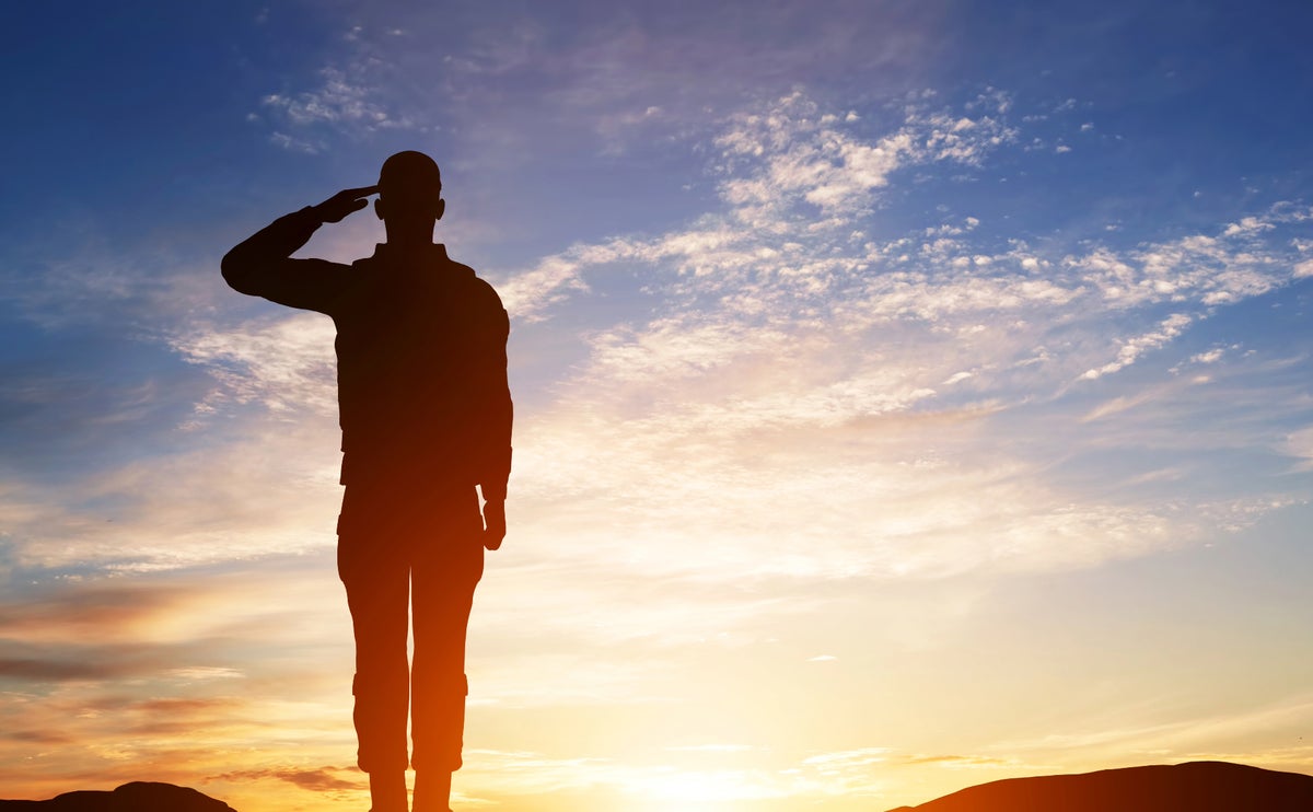 A member of the armed services salutes against a setting sun