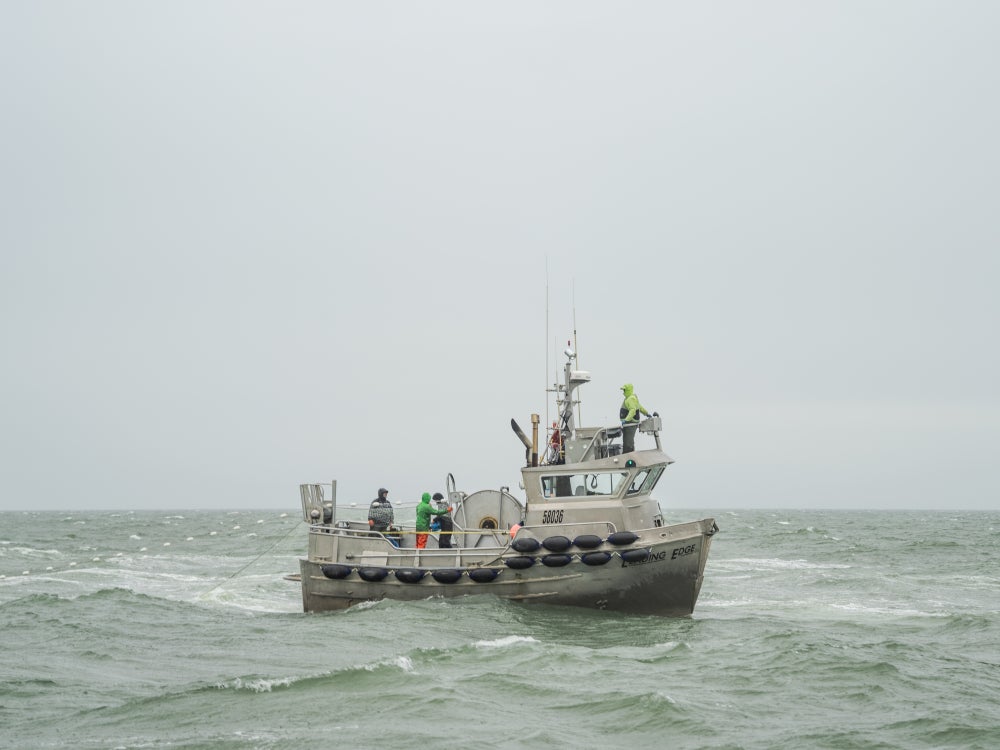 Driftnet Salmon Fishing in bristol bay on a limit size gillnetter  