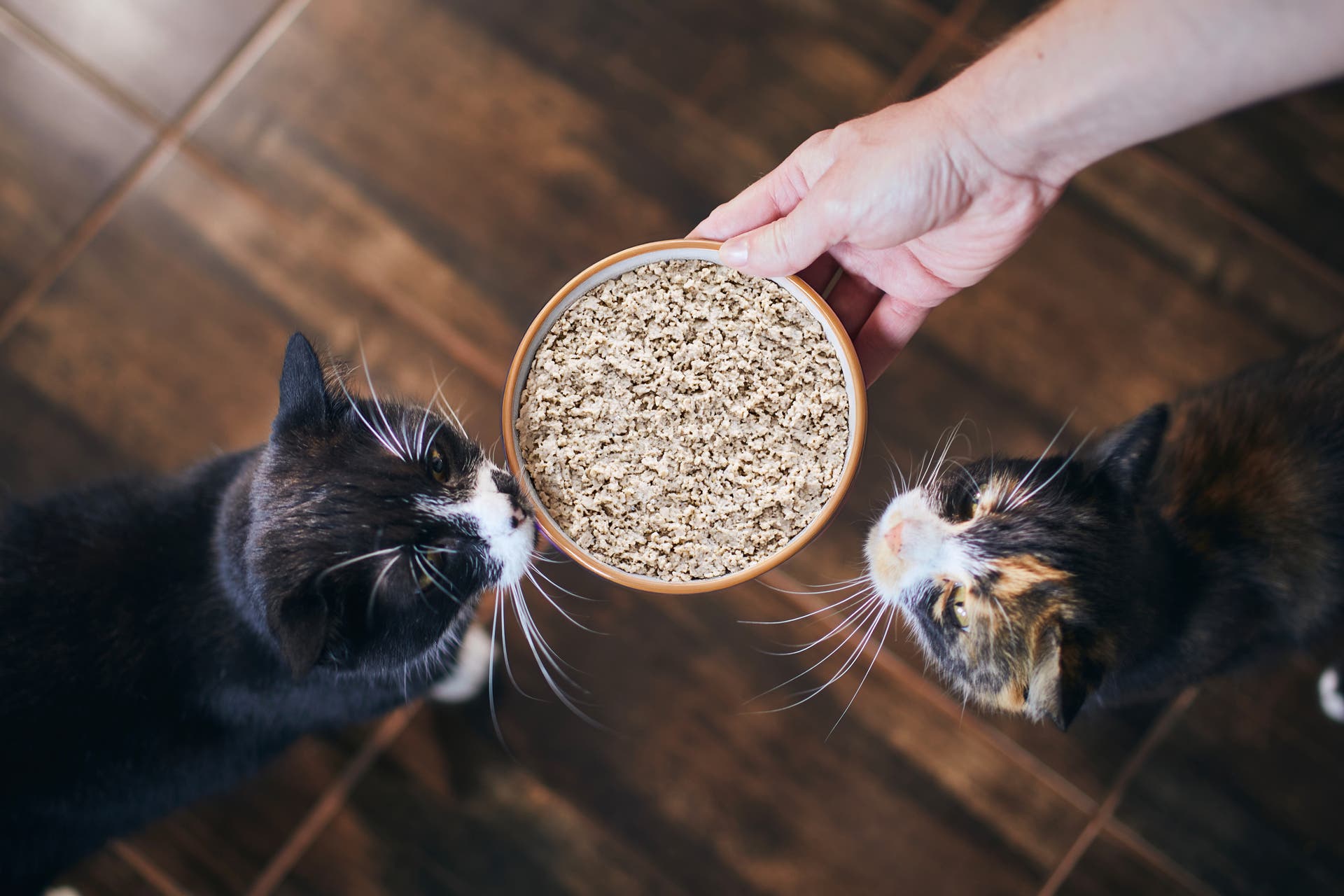 Tetra Pak Shelf-Stable