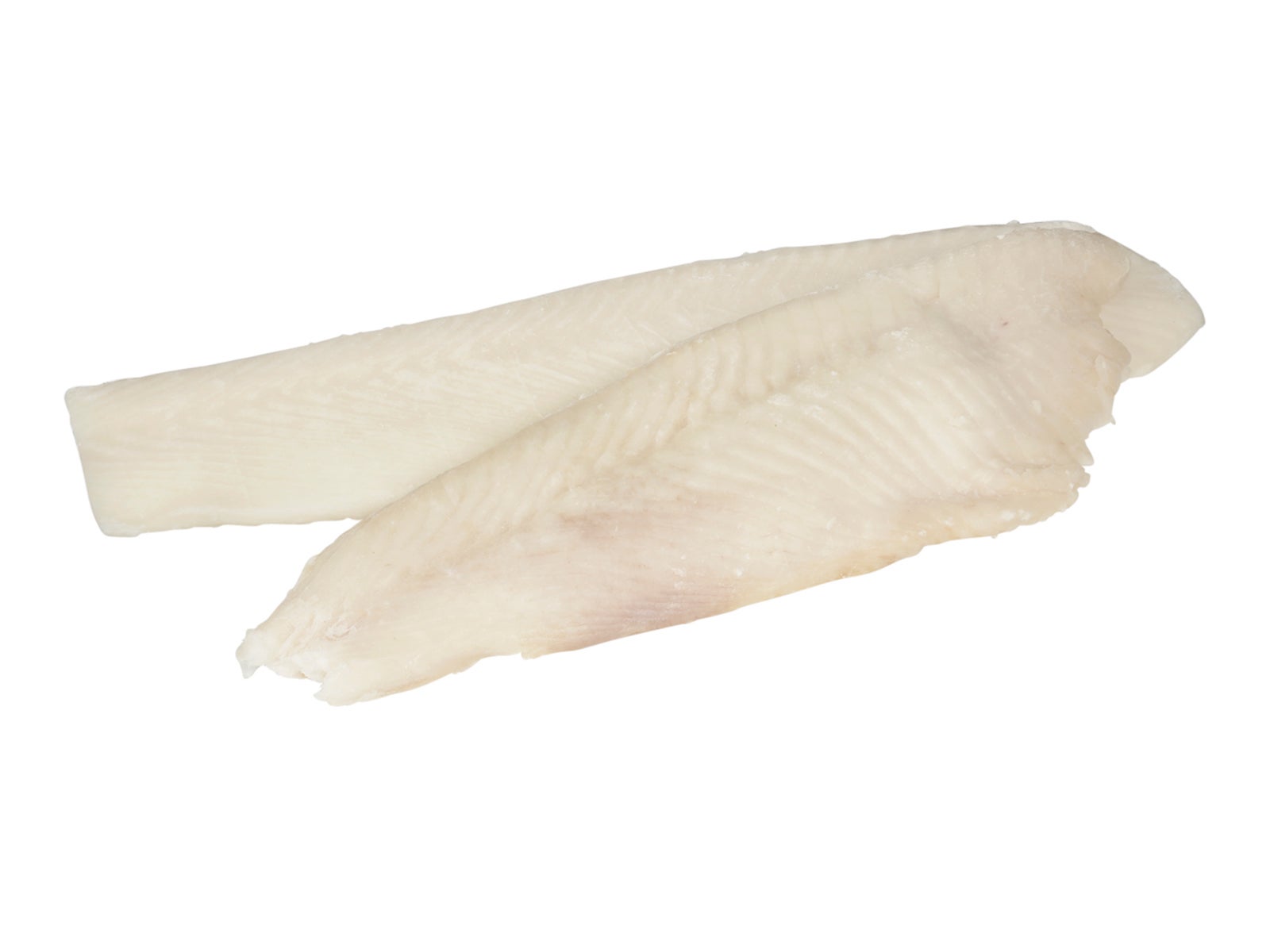 Halibut Fletch 3-5 lb slide 1