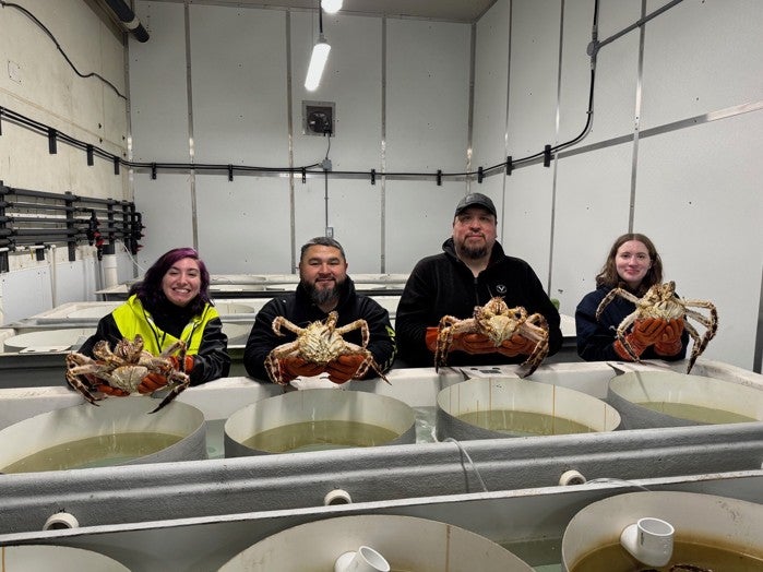 Trident Seafoods has opened its Saint Paul, Alaska facility to a red king crab hatchery project 