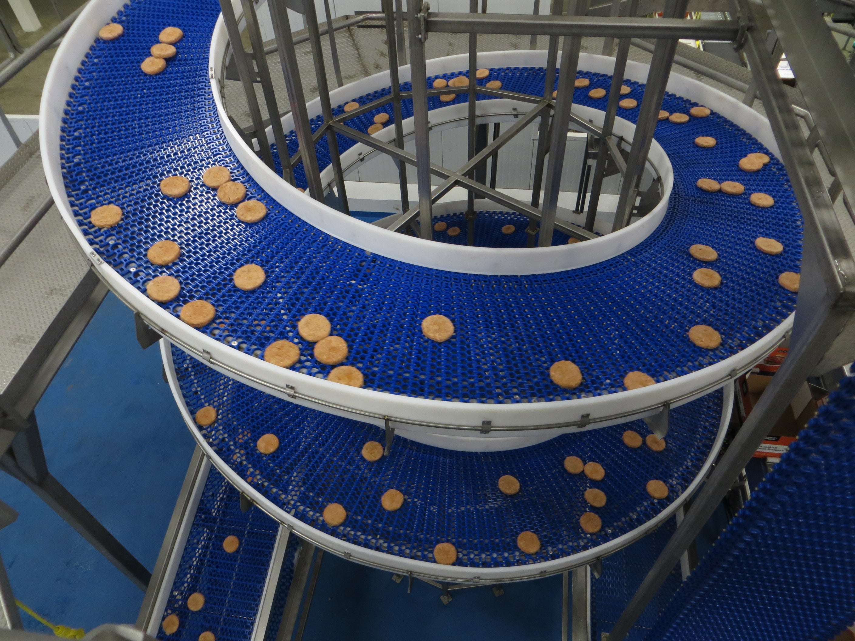 Salmon burgers on a spiral conveyor belt