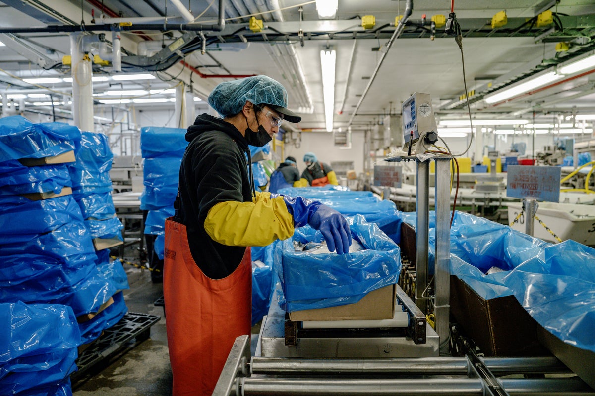 person working on the packaging line in the cordova plant. 