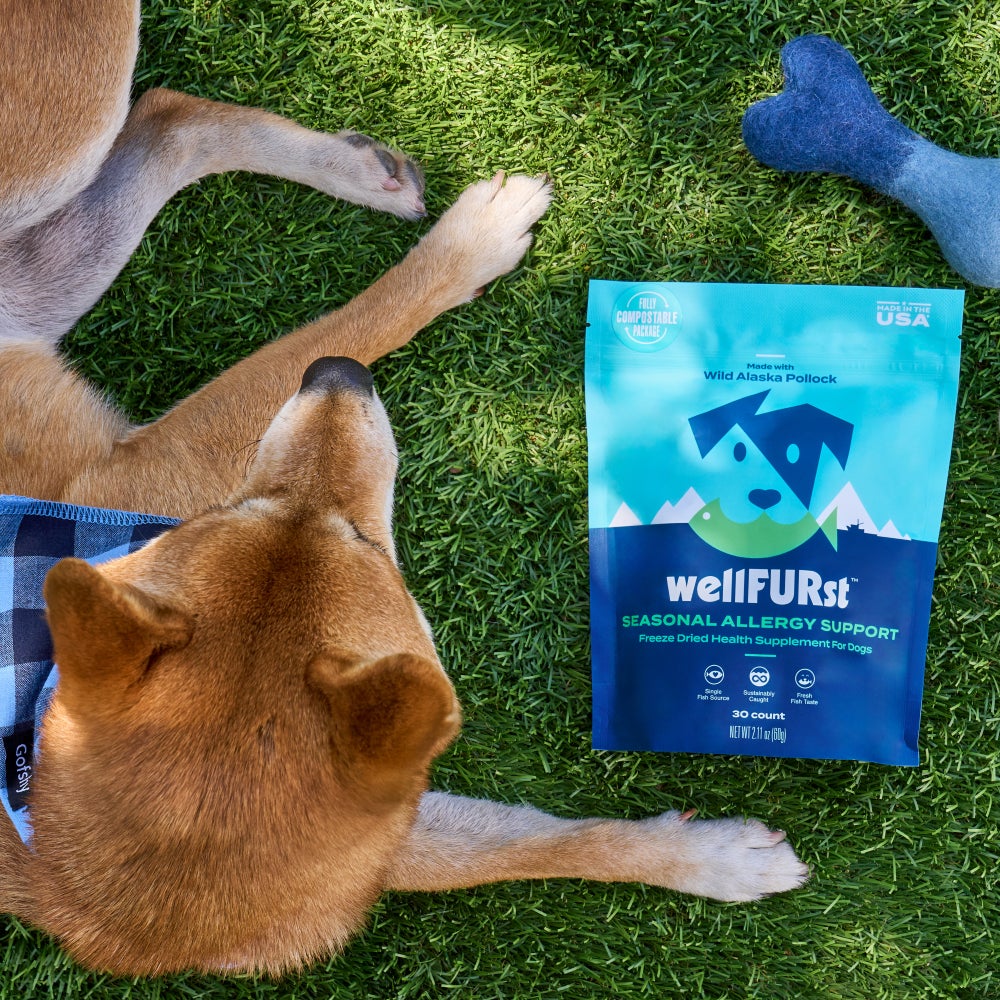 Dog wearing a blue plaid bandana lies on grass beside a wellFURst™ Seasonal Allergy Support supplement pack. The freeze-dried product features Wild Alaska Pollock and is veterinarian-formulated. A blue bone toy sits nearby.
