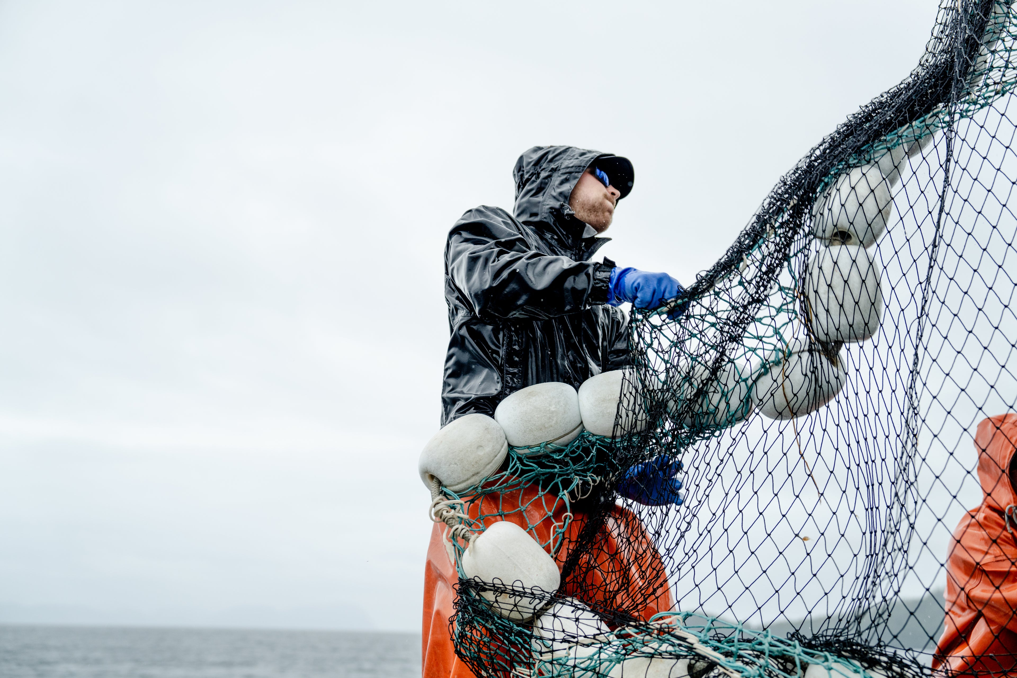 A commercial fisherman in Alaska's Prince William Sound works a fishing net. 