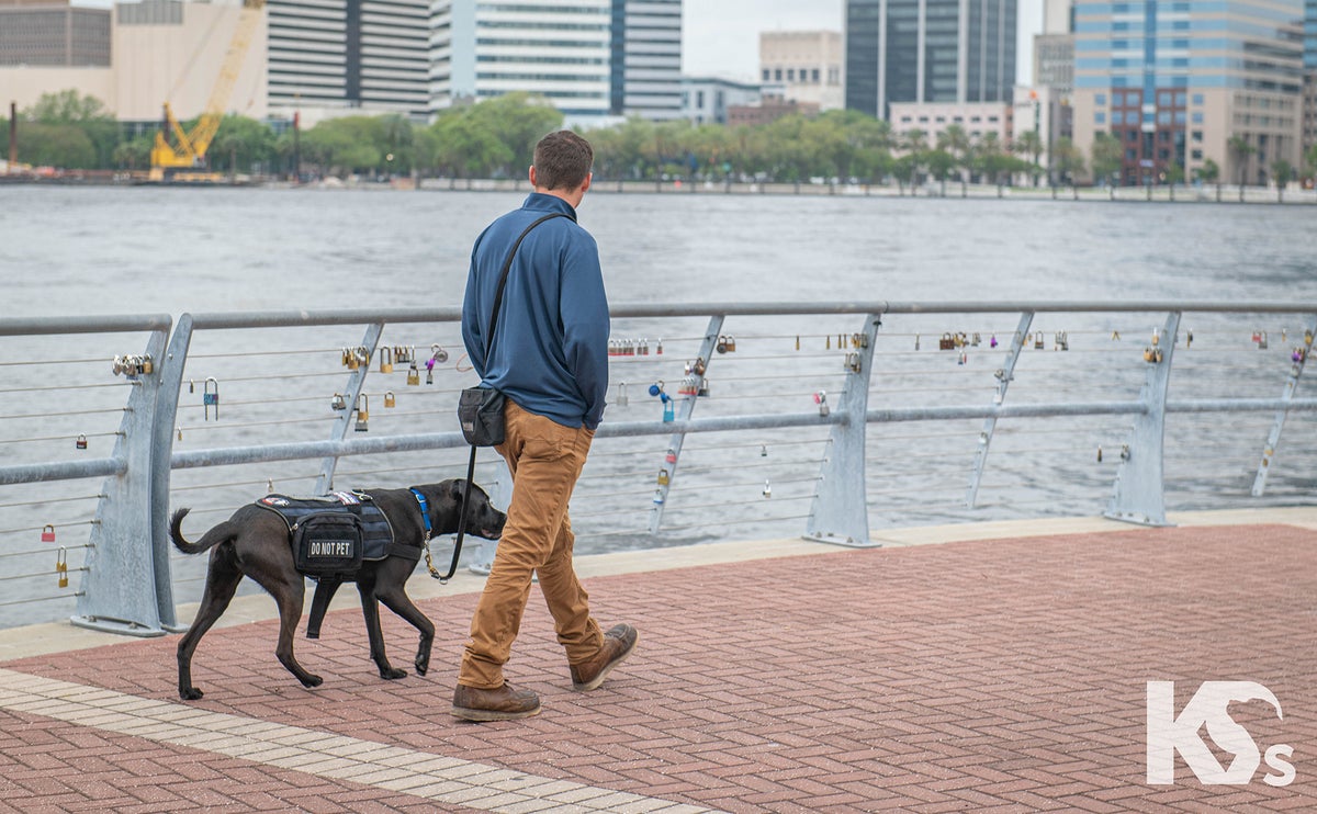 A wounded veteran walks alongside his service dog