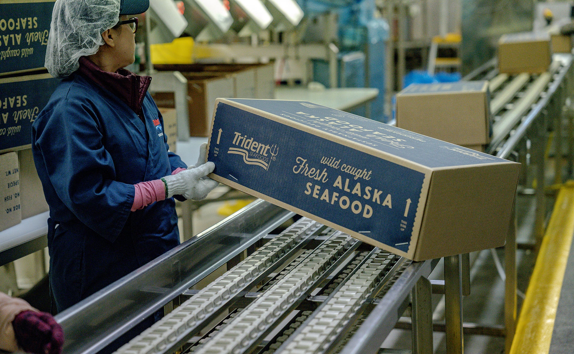 A Trident Seafoods employee boxes fresh, wild caught Alaska salmon fillets