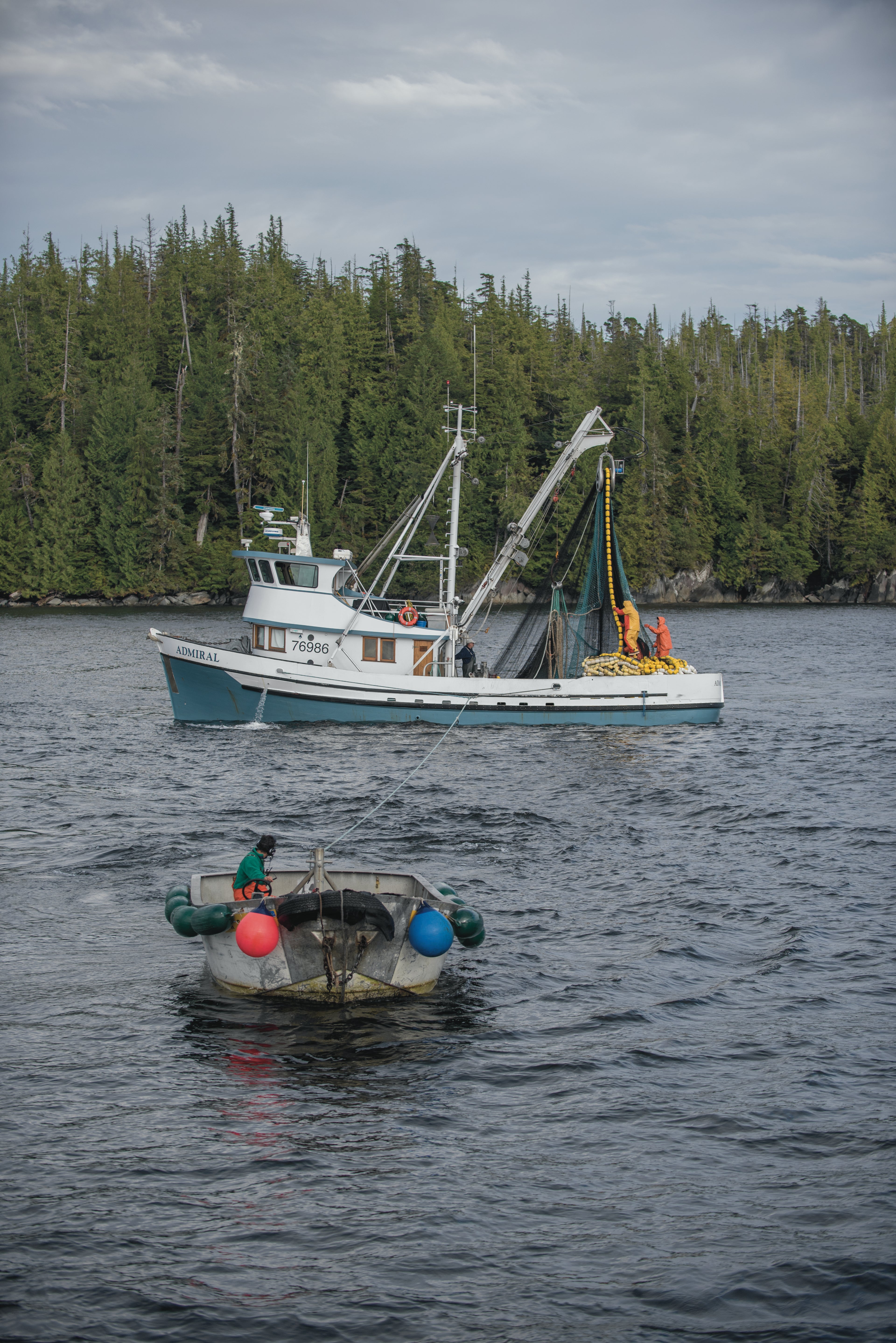 Salmon Fishing