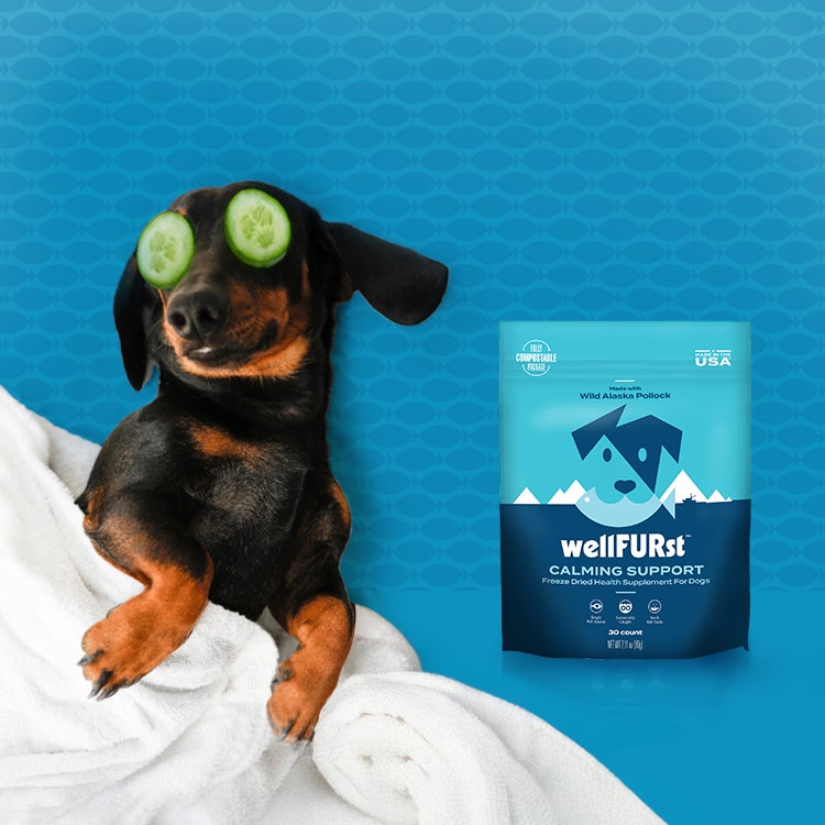 A Dachshund with cucumber slices on its eyes is wrapped in a white towel, lying beside a blue wellFURst pet products labeled 'Calming Support' with cartoon dog faces and mountain designs on the packaging.