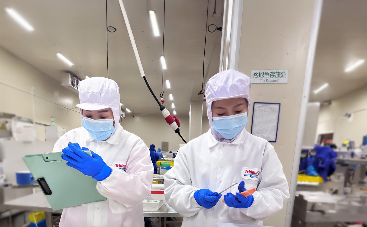 Workers in Chinese factory for Trident Seafoods dressing safety gear and testing products.