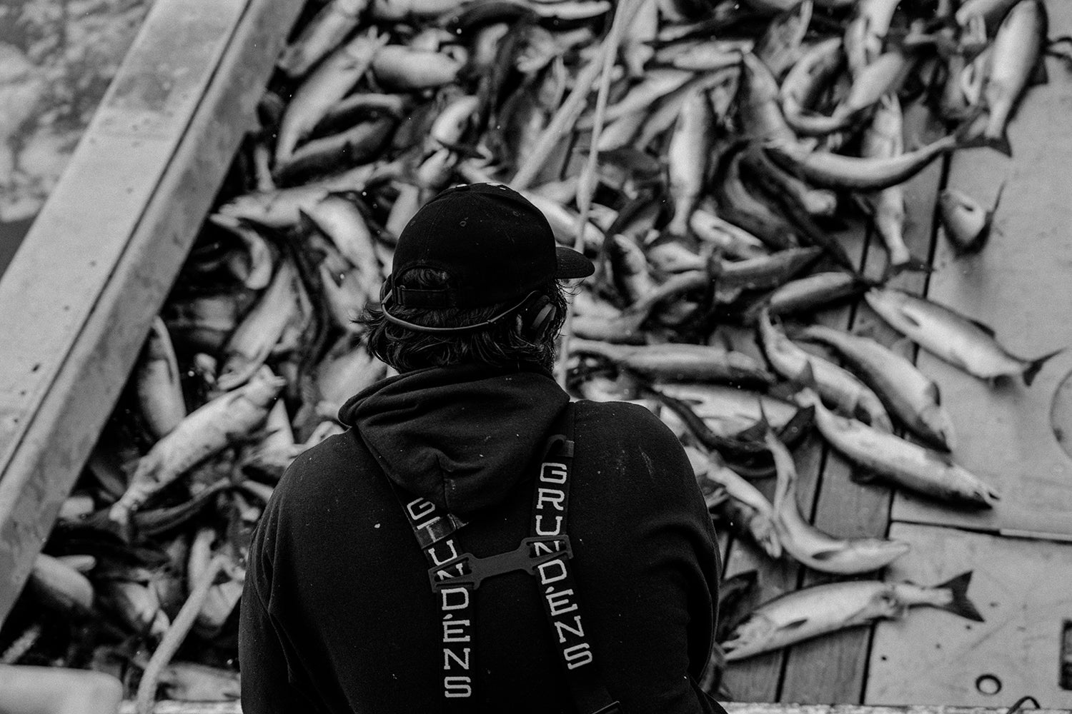 Photo: Zeke Brown runs hydros while a load of salmon comes aboard.