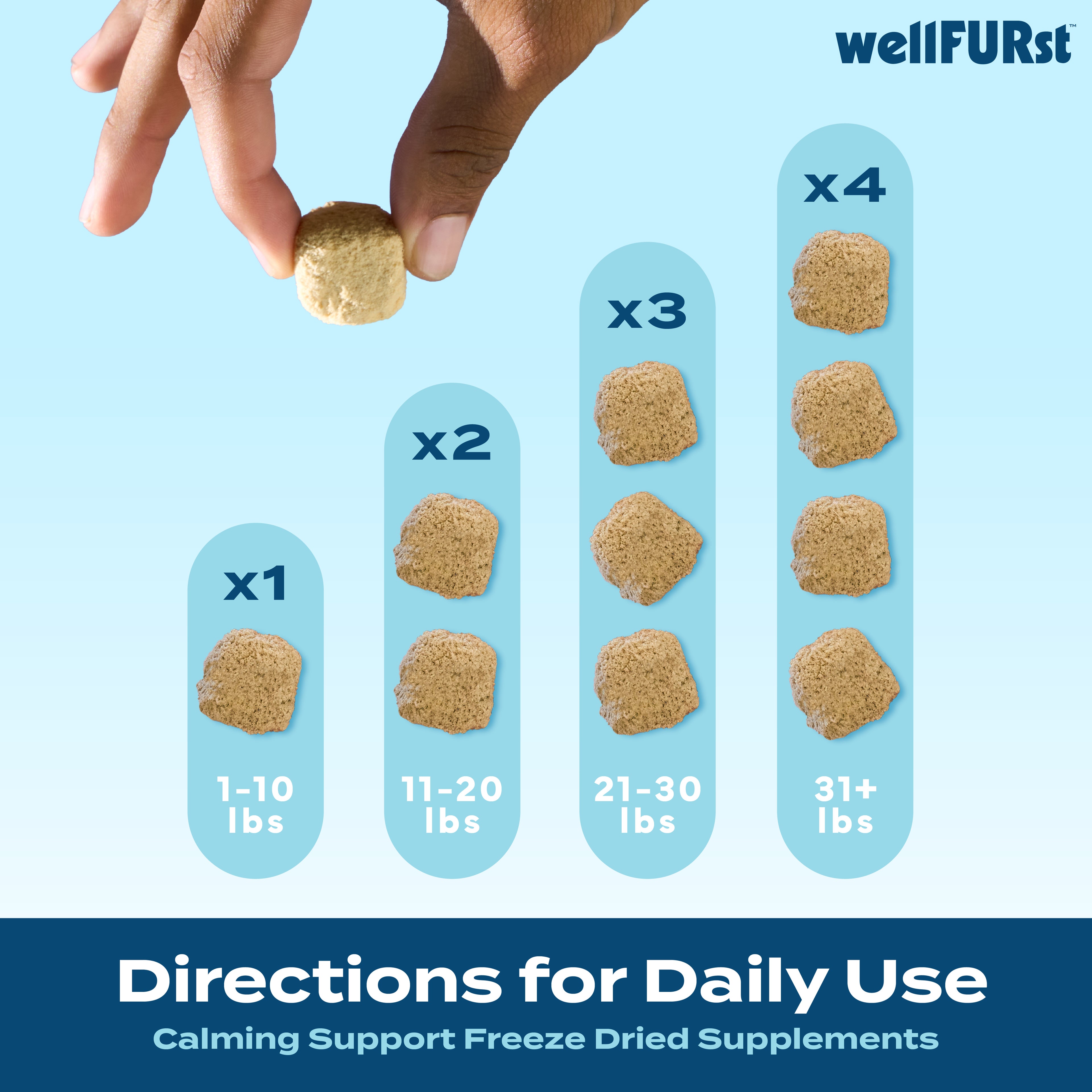 Calming Support slide 4