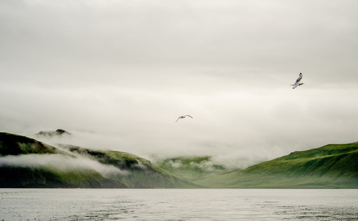 The misty green hills and mountains of Dutch Harbor, Alaska loom over the Pacific Ocean as two birds take flight