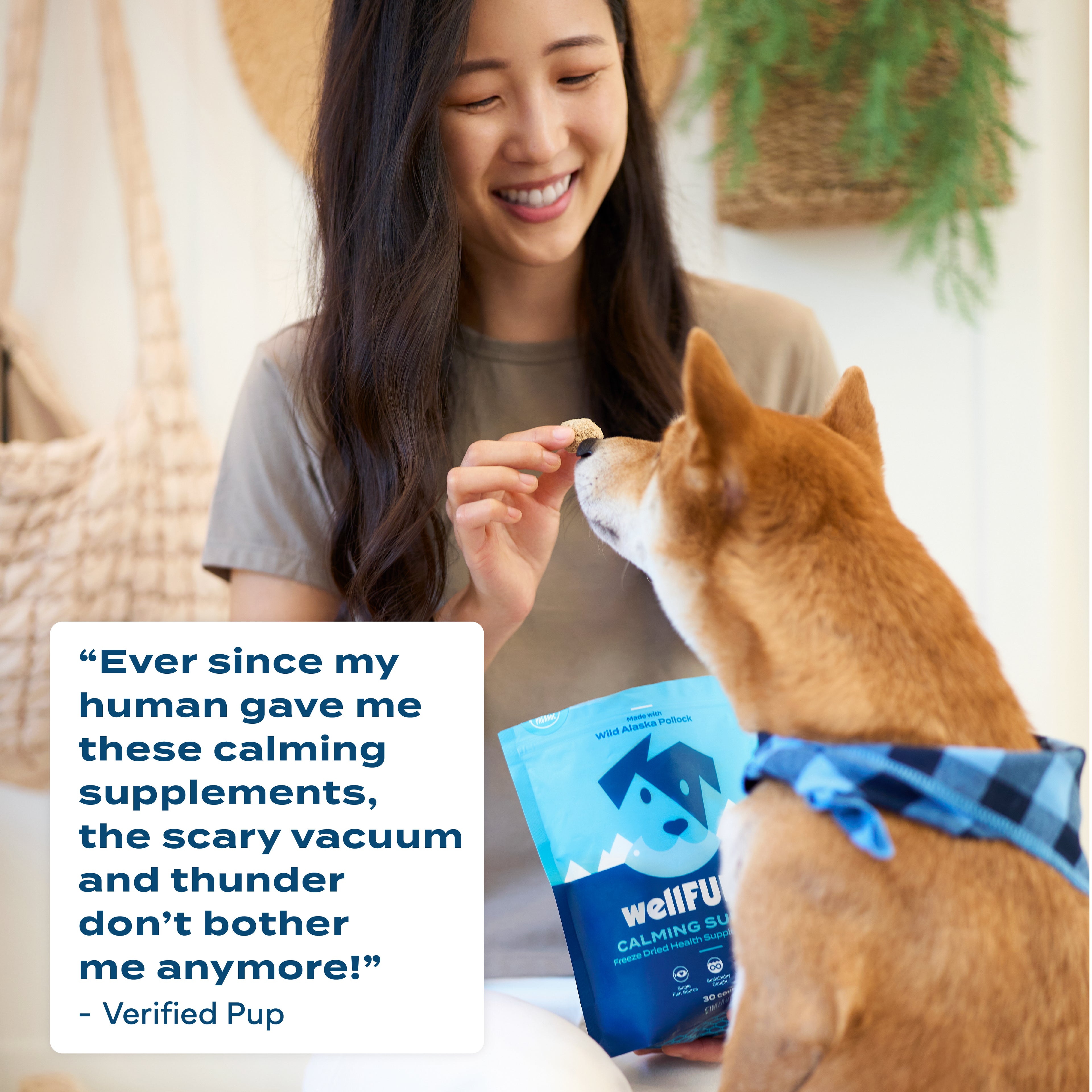 Calming Support slide 5