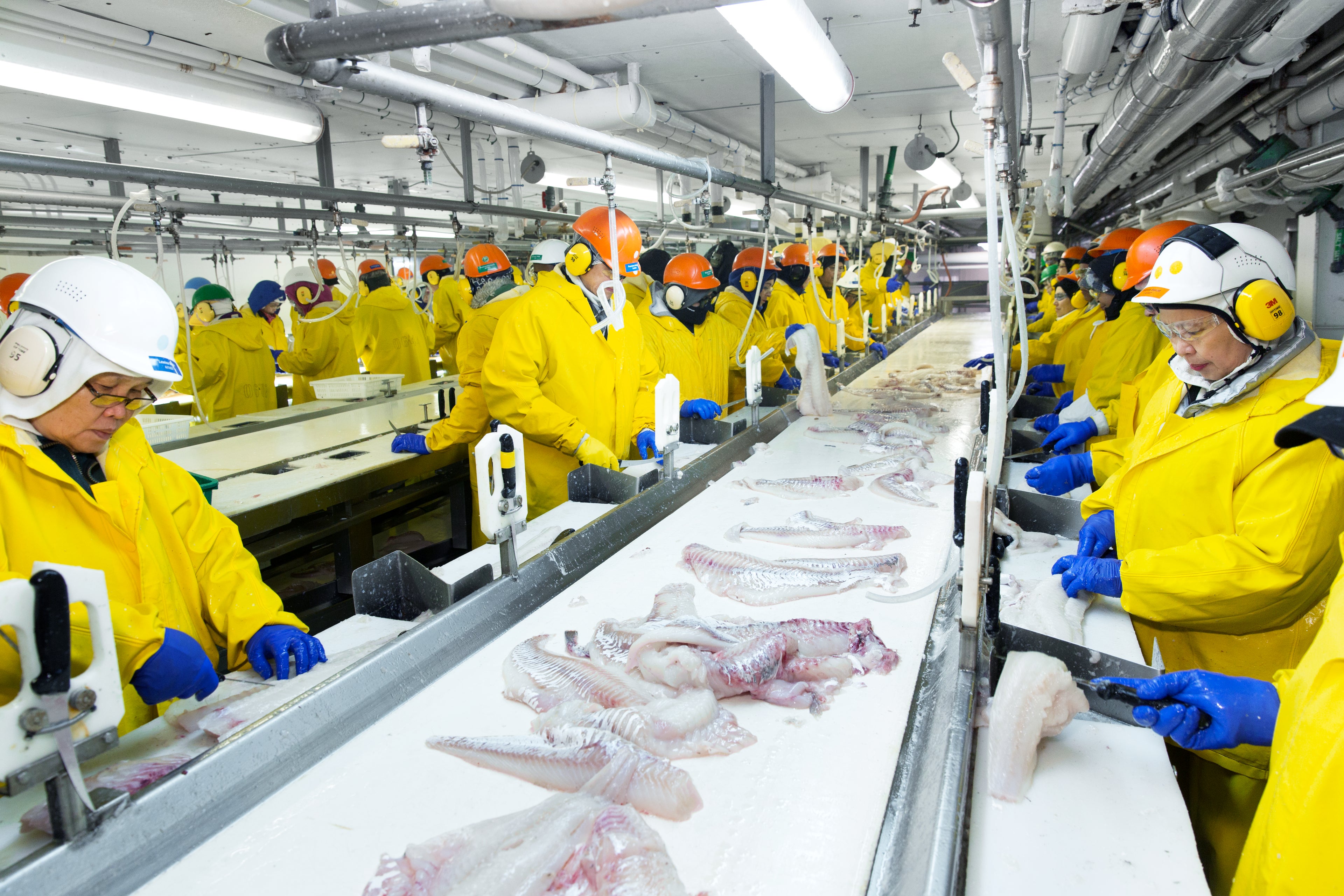 Trident Seafoods Job Application