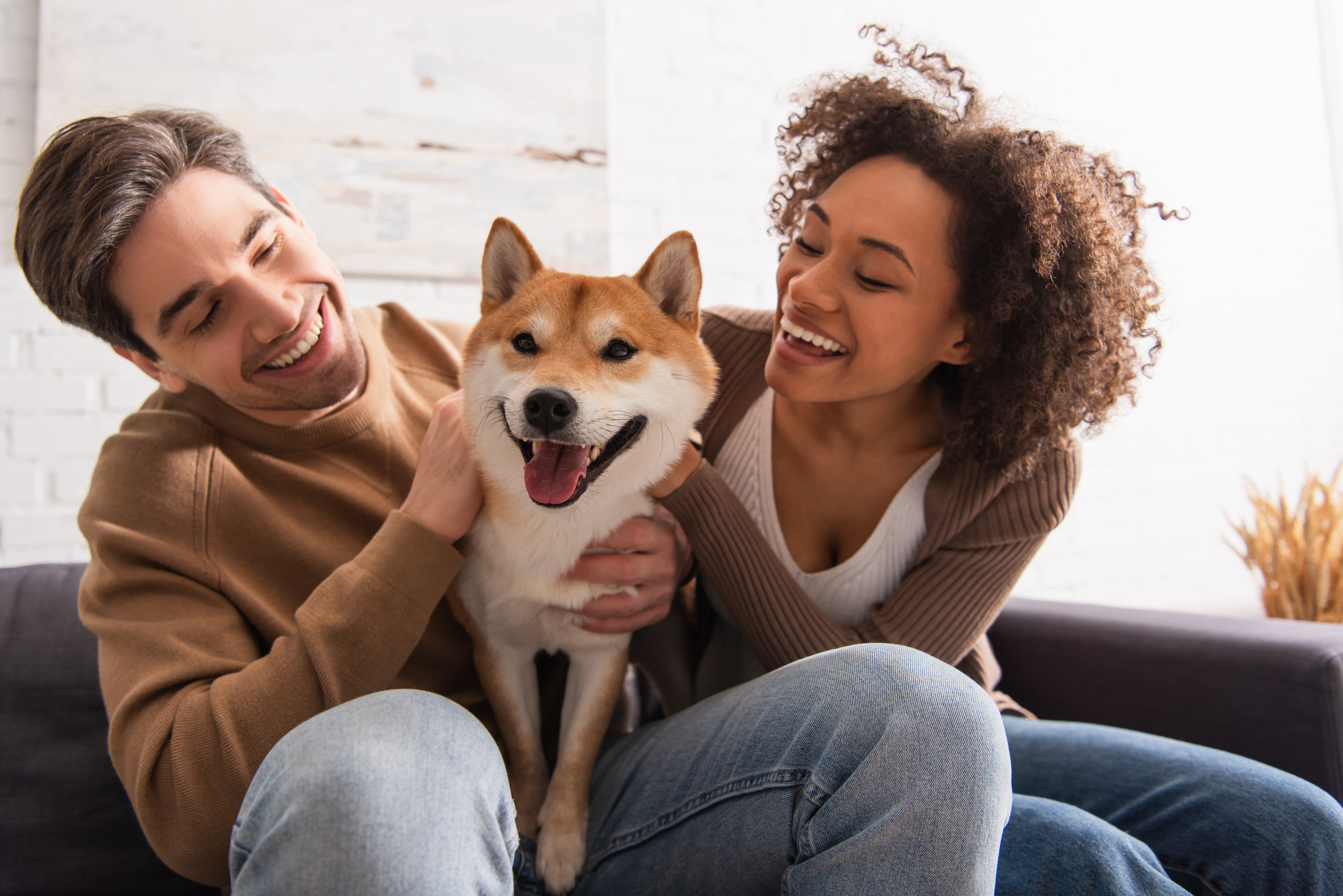 Man and woman smiling with pet dog in the middle