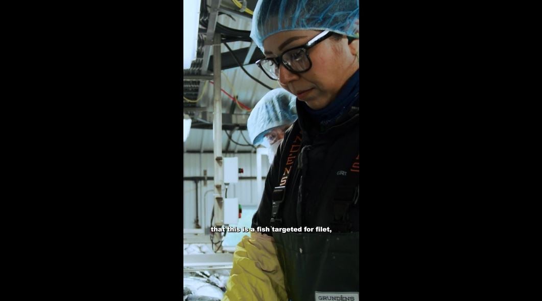 A Trident Seafoods employee filets wild Alaska salmon on the company's processing line