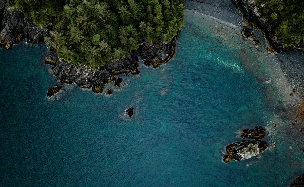 An aerial photo of the Alaska coastline