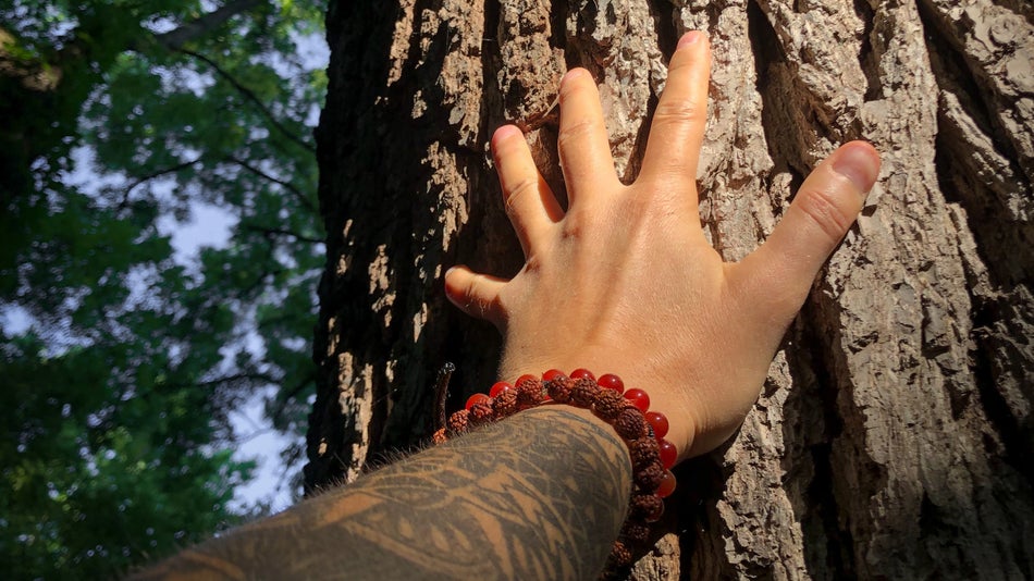 touching trees can be part of grounding