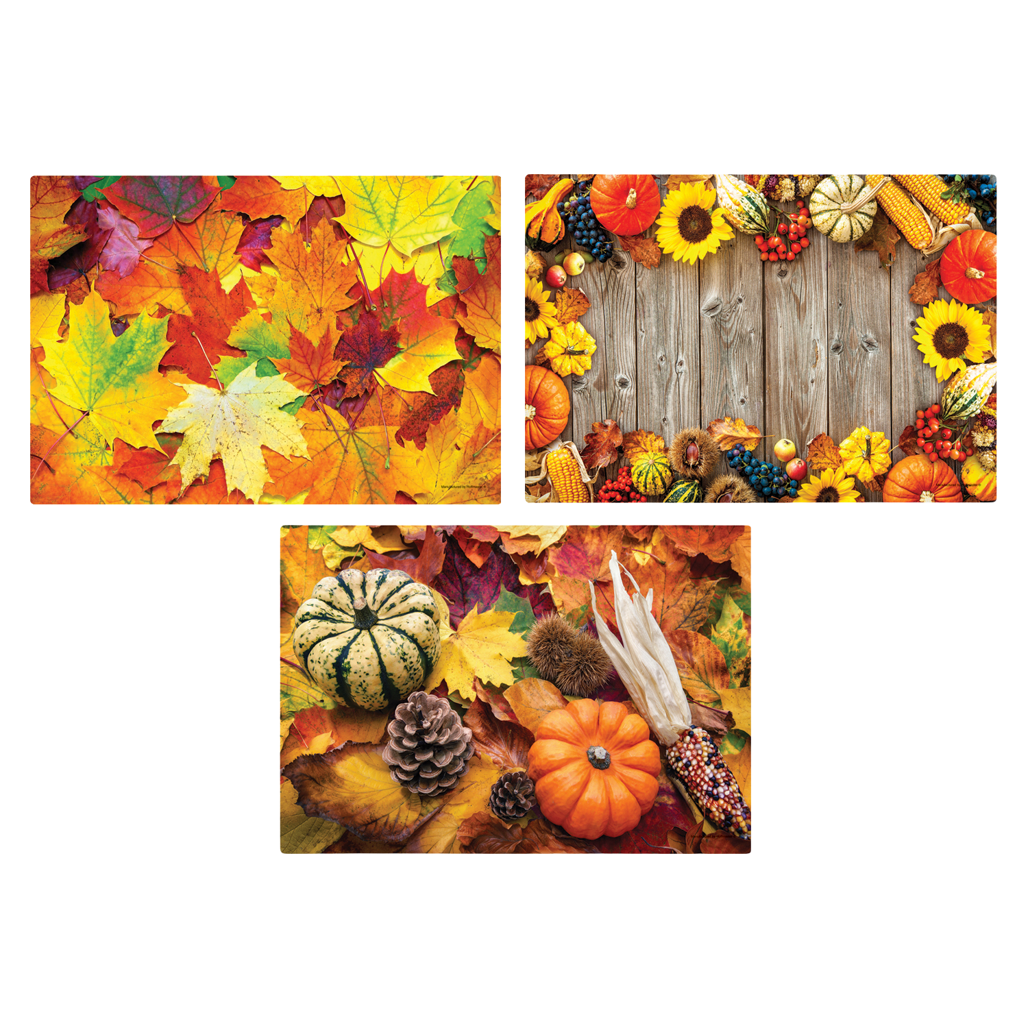 10 in x 14 in Autumn Days Multipack Paper Placemats 1000 ct.