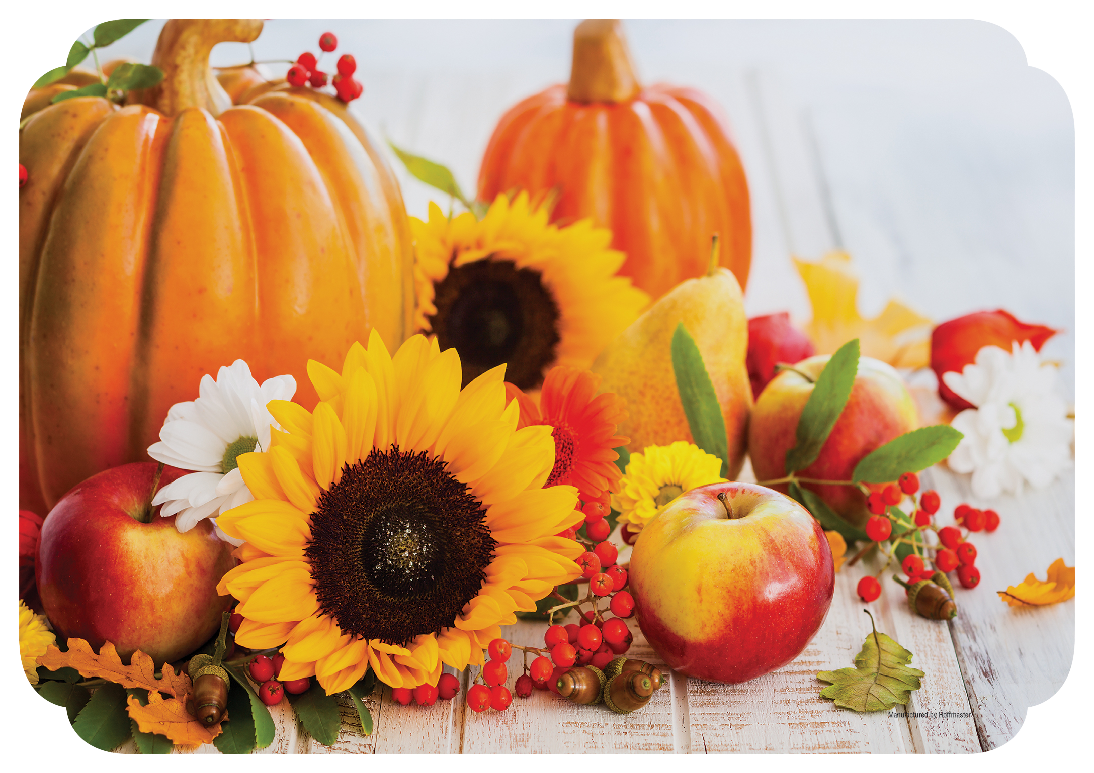 10 in x 14 in Fall Harvest Paper Placemats 1000 ct.