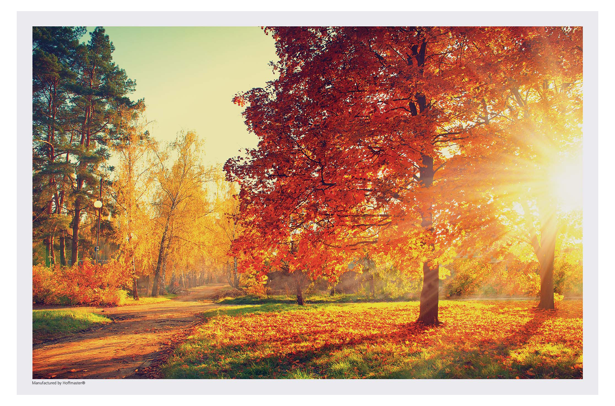 10 in x 14 in Fall Multipack Paper Placemats 1000 ct.