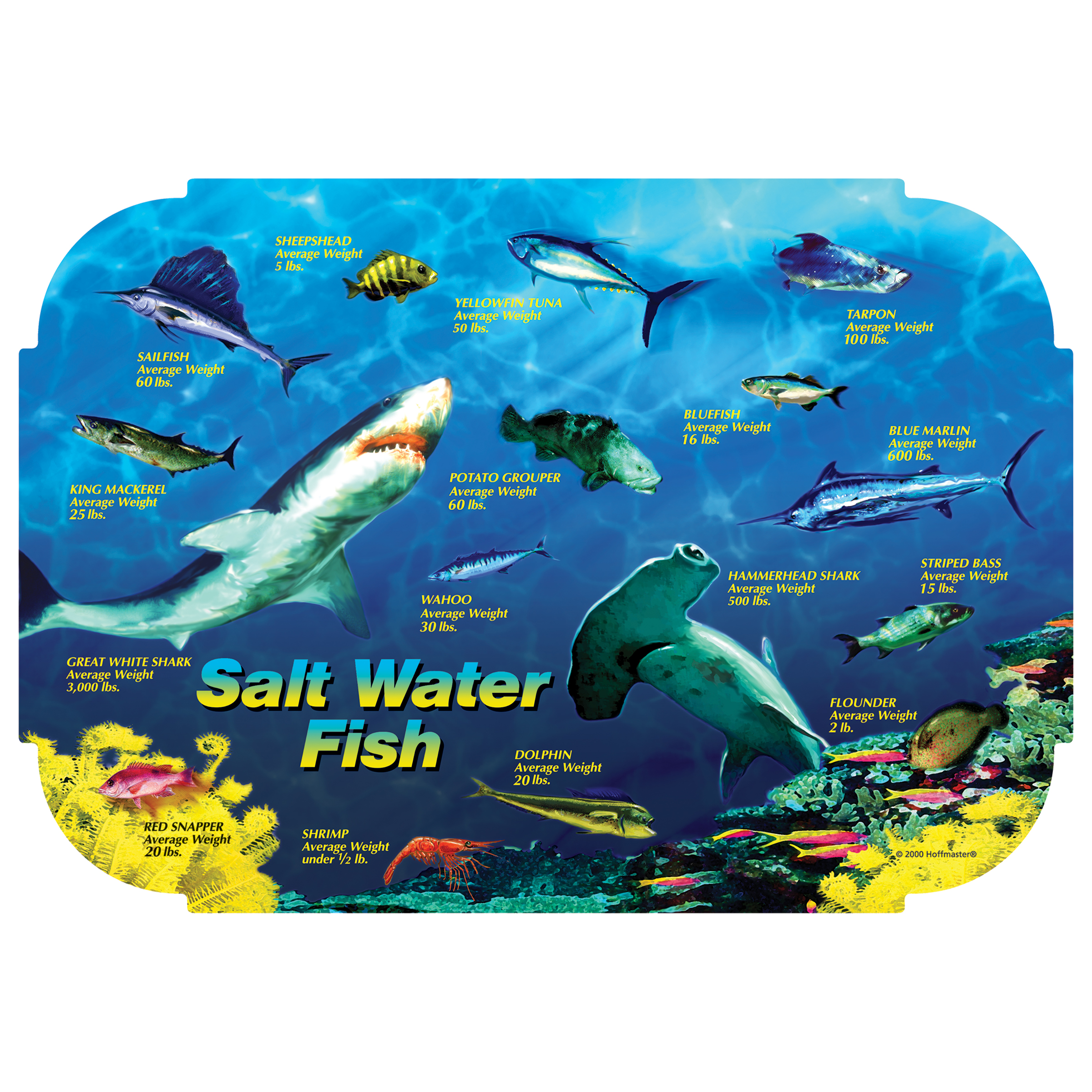 10 in x 14 in Tiffany Edge Salt Water Fish II Paper Placemats 1000 ct.