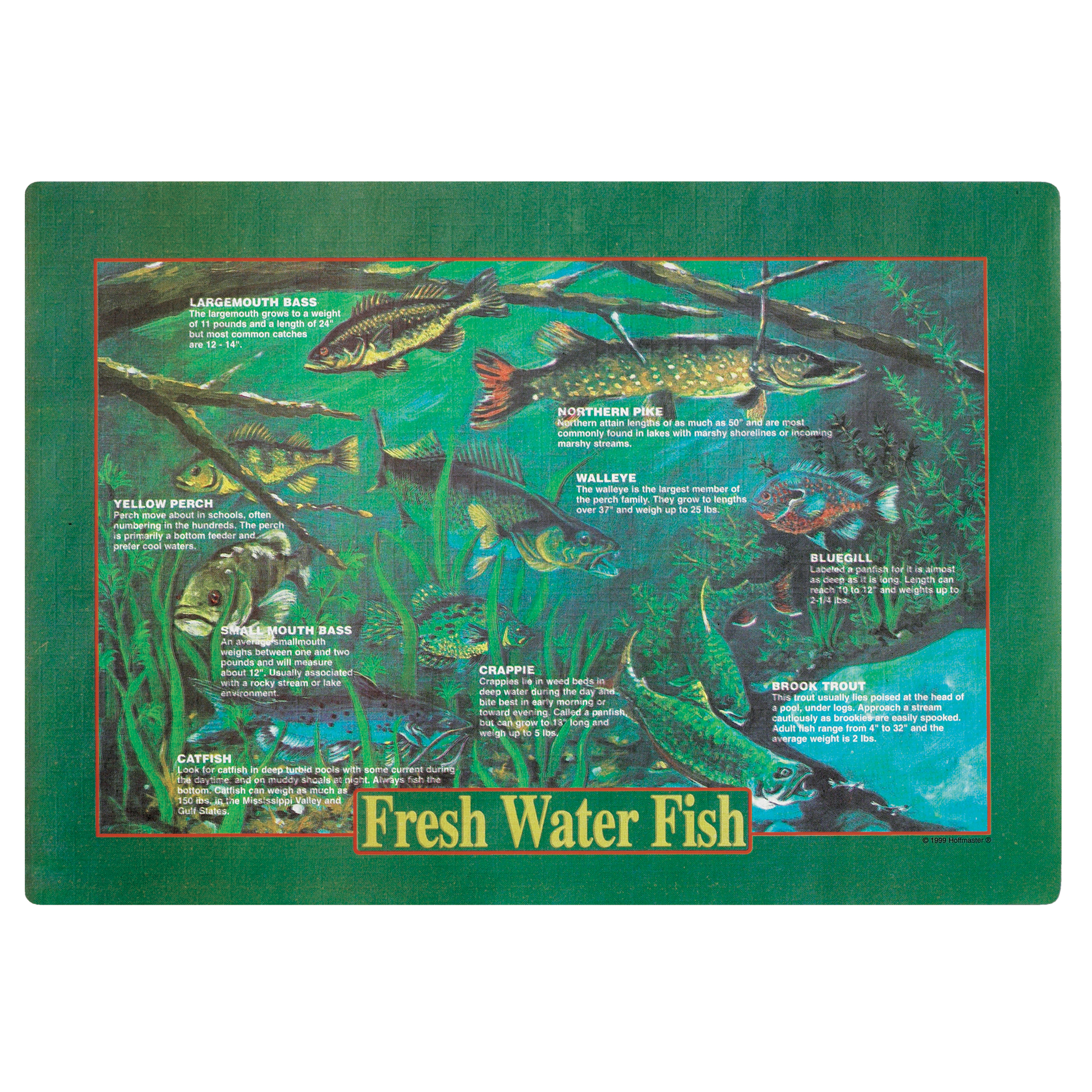 10 in x 14 in Fresh Water Fish Paper Placemats 1000 ct.