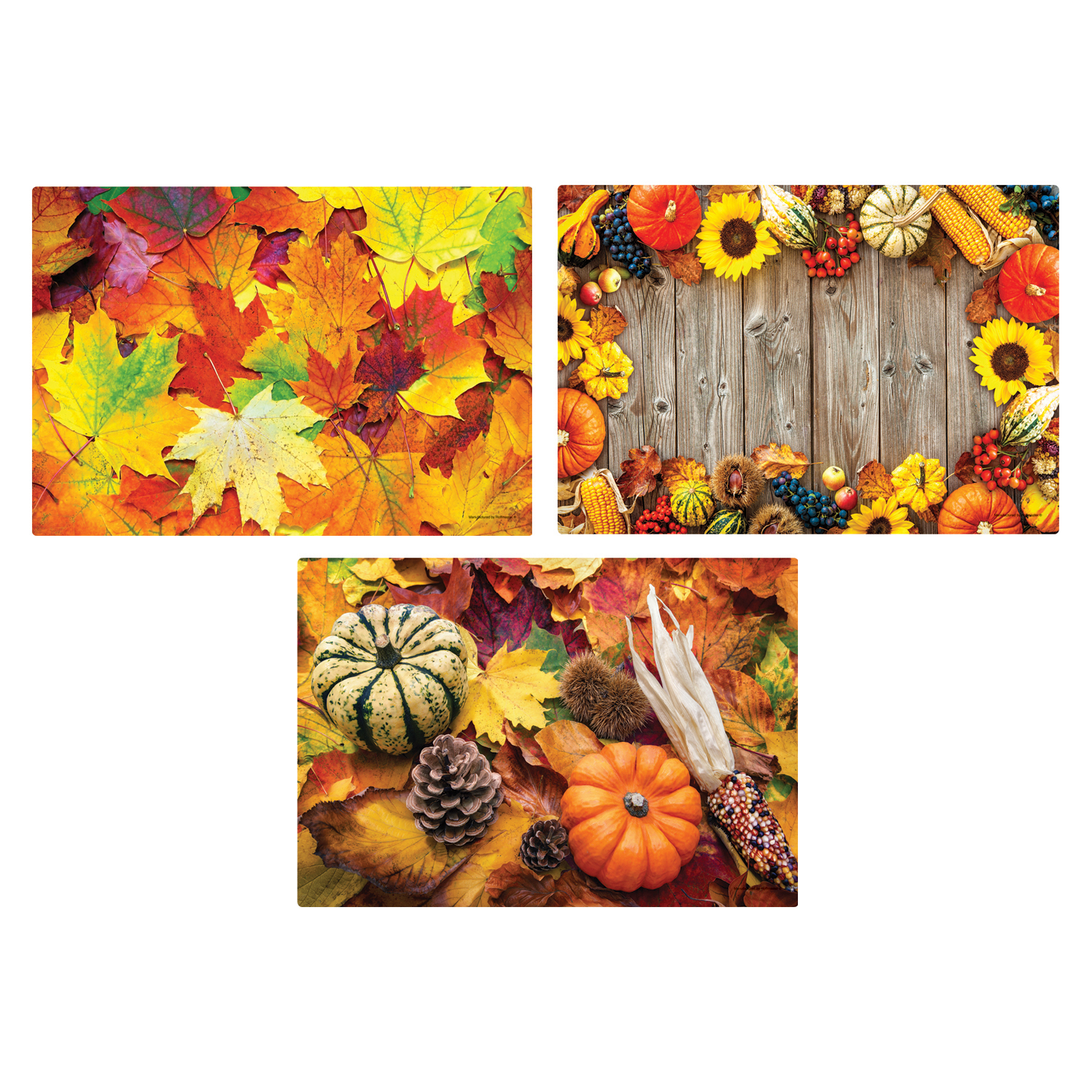 10 in x 14 in Autumn Days Multipack Paper Placemats 1000 ct.