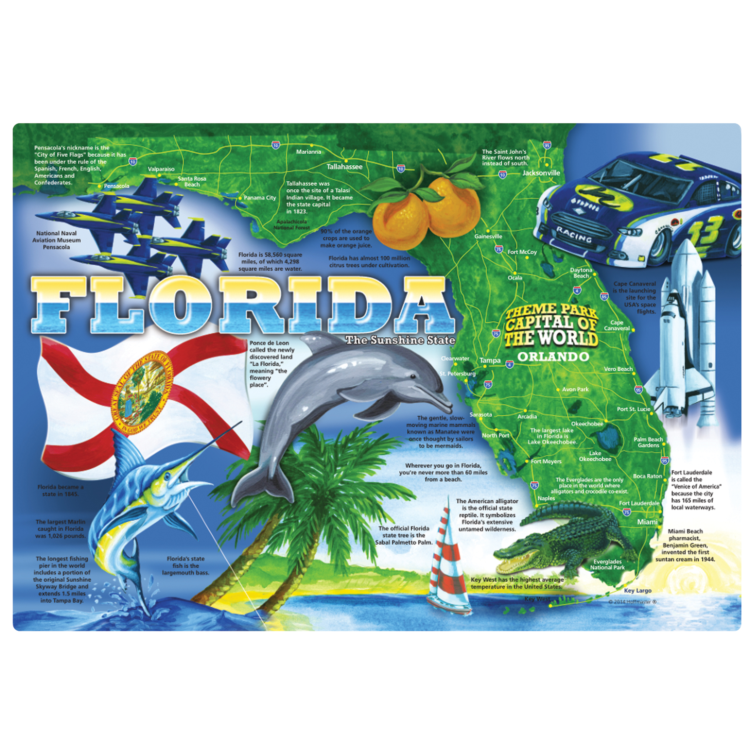 10 in x 14 in Florida Paper Placemats 1000 ct.