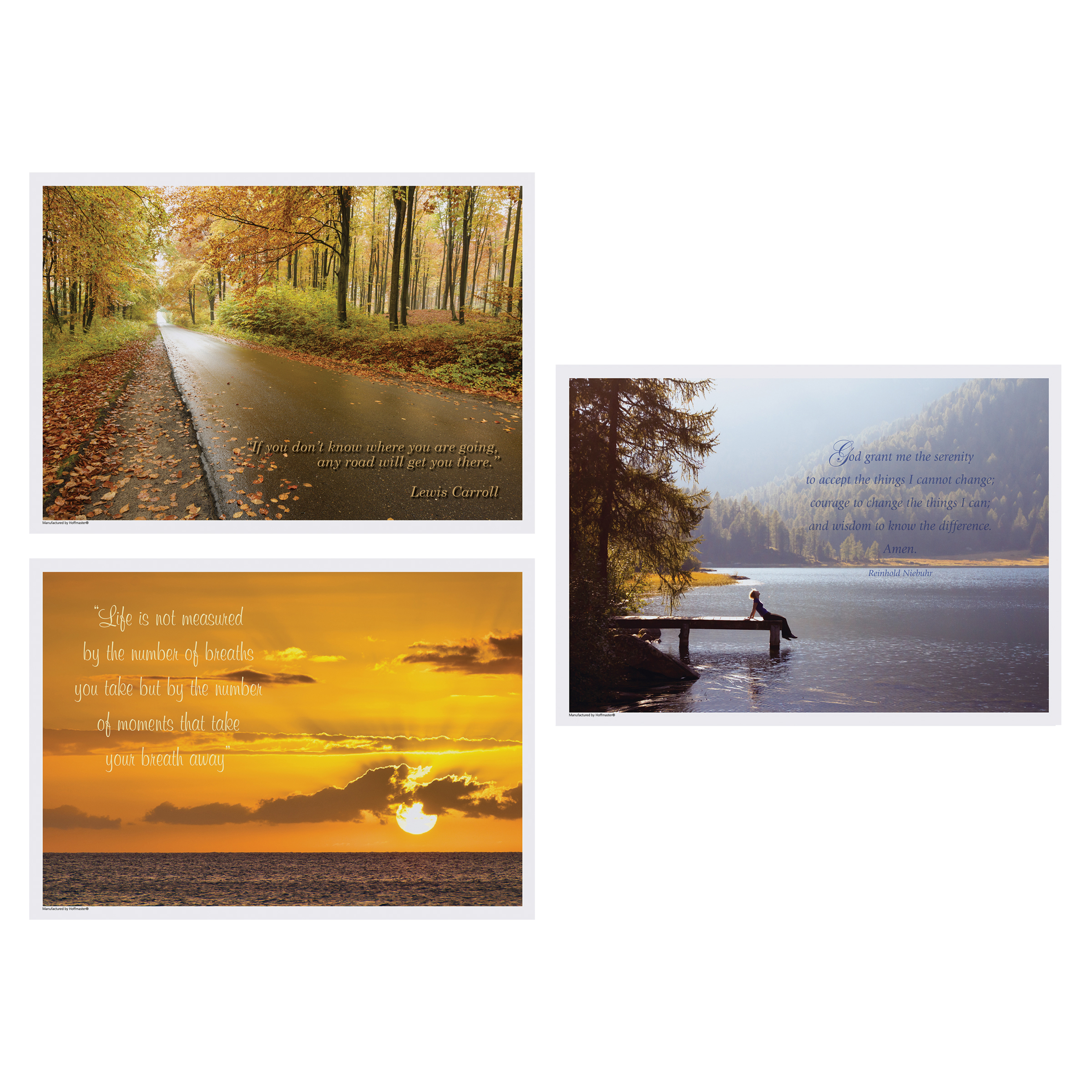 10 in x 14 in Inspirations Multipack Paper Placemats 1000 ct.