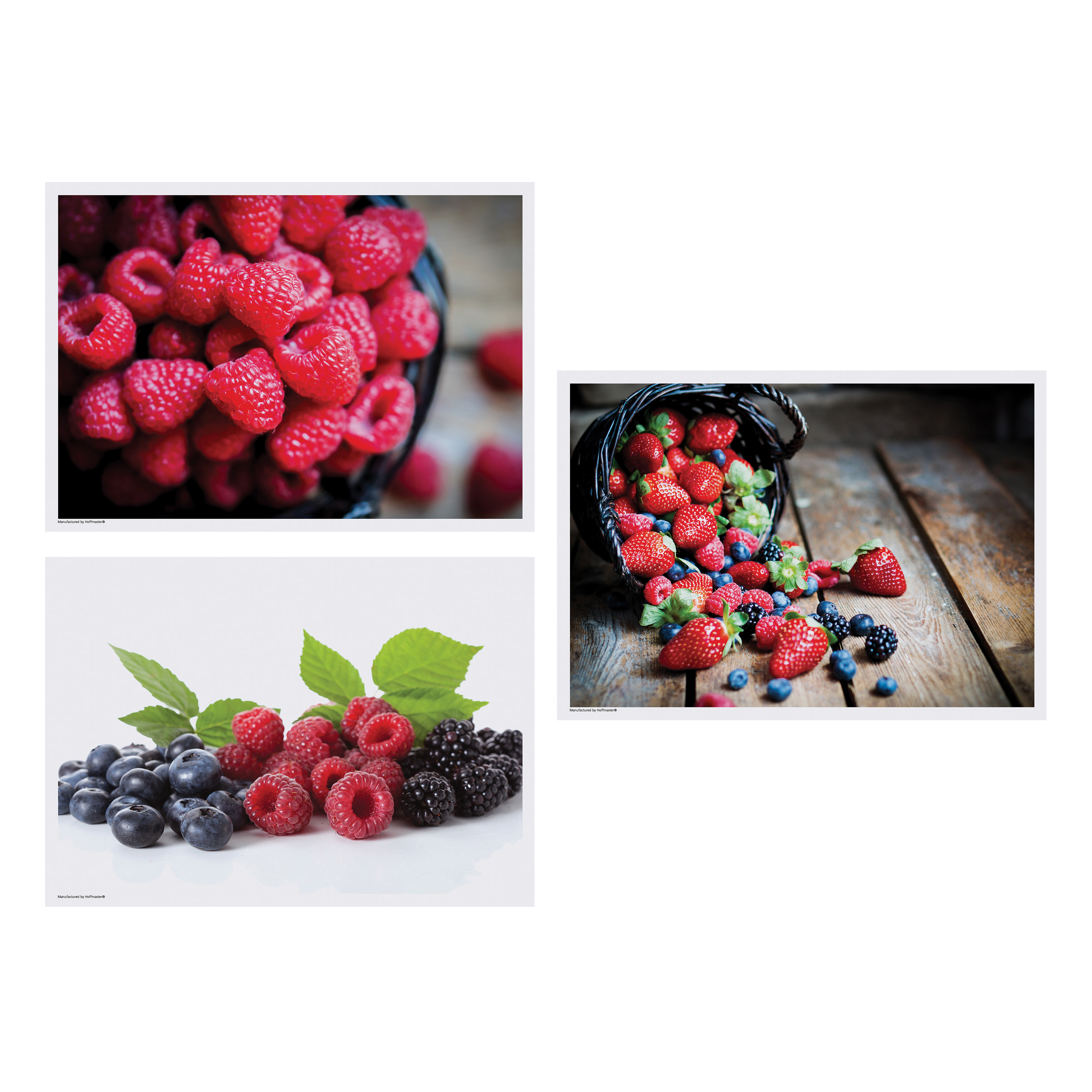 10 in x 14 in Berry Delight Multipack Paper Placemats 1000 ct.