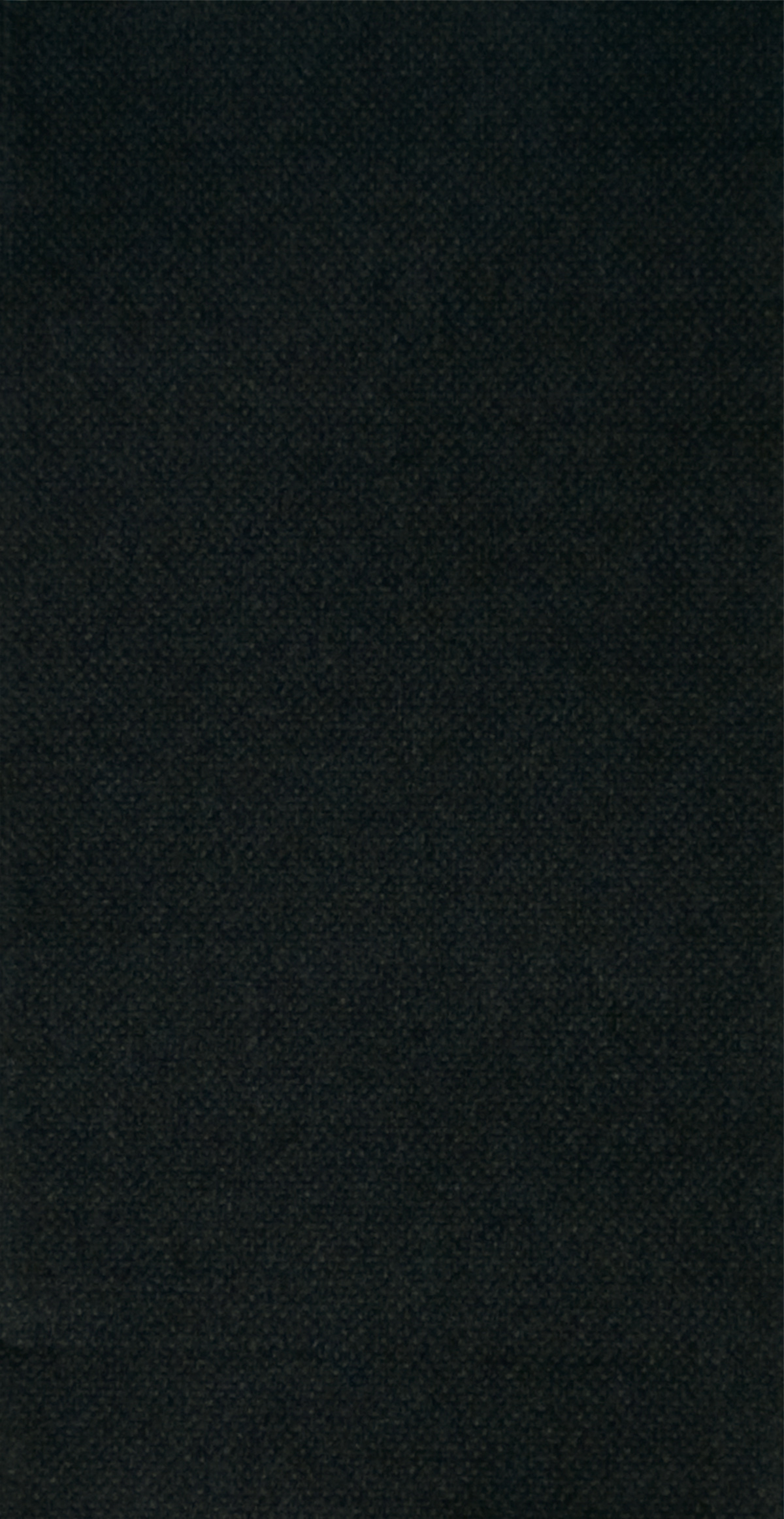 8 in x 4 in FashnPoint Black Dinner Napkins 800 ct.
