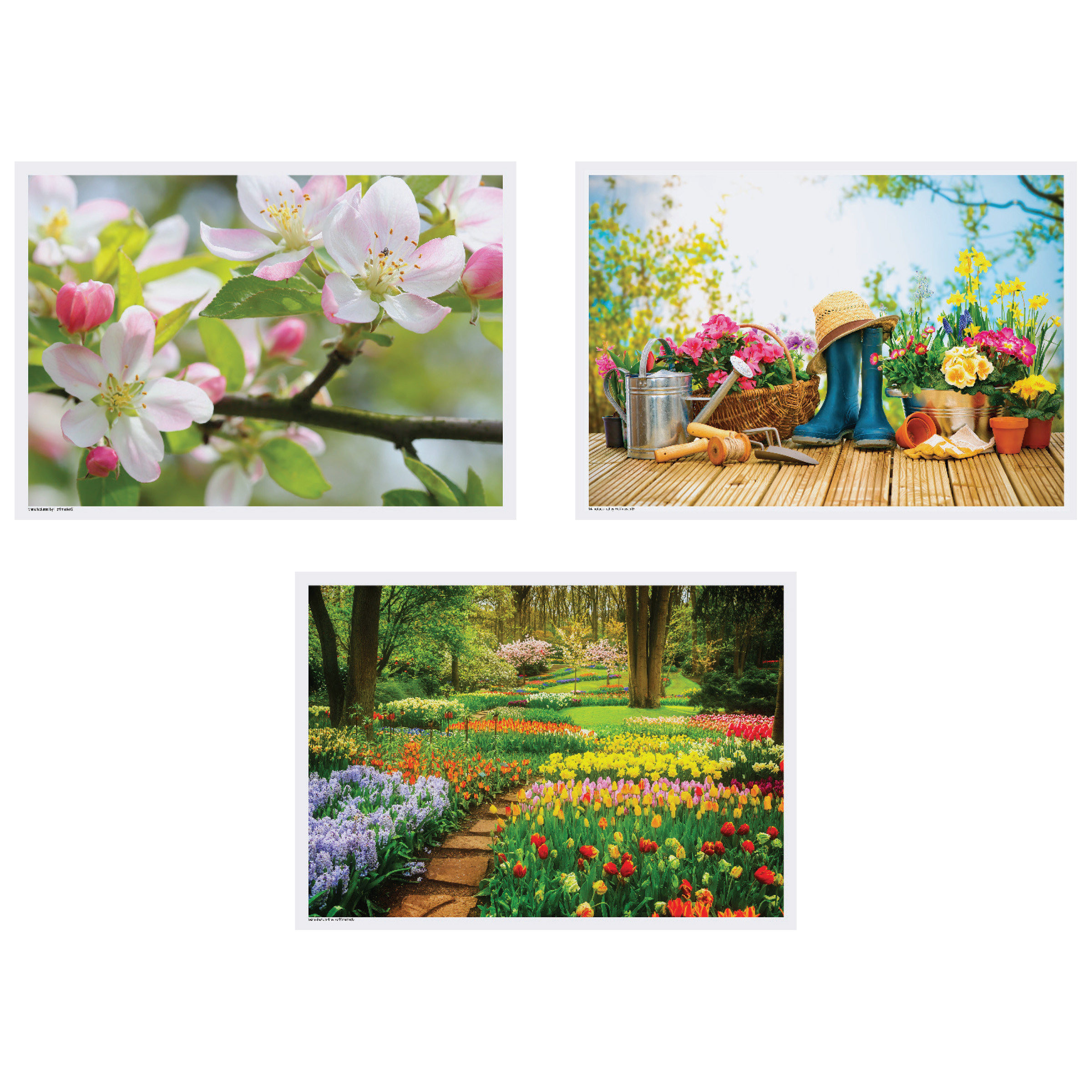 10 in x 14 in Spring Multipack Paper Placemats 1000 ct.