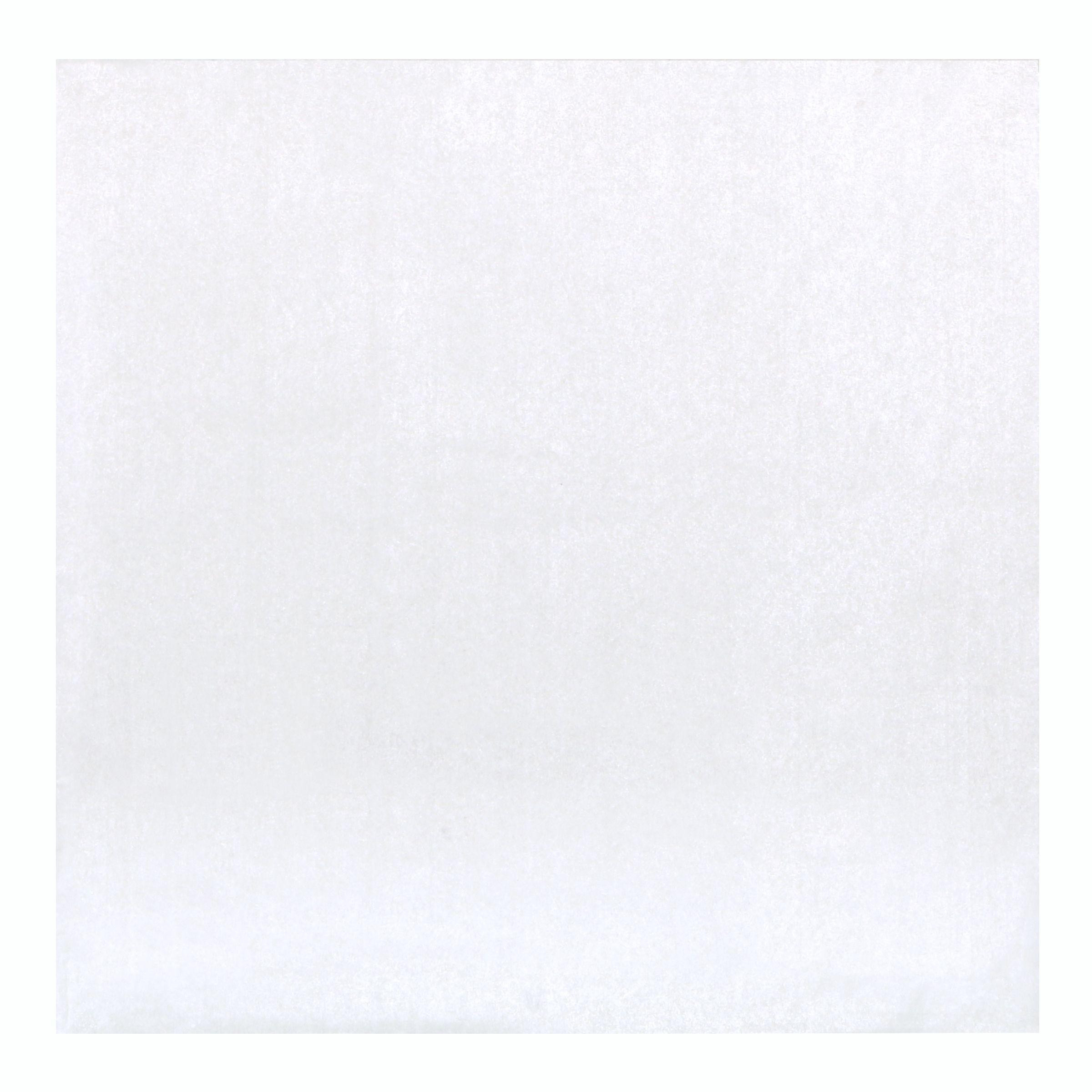 6 in Small Bakery Tissue 10000 ct.