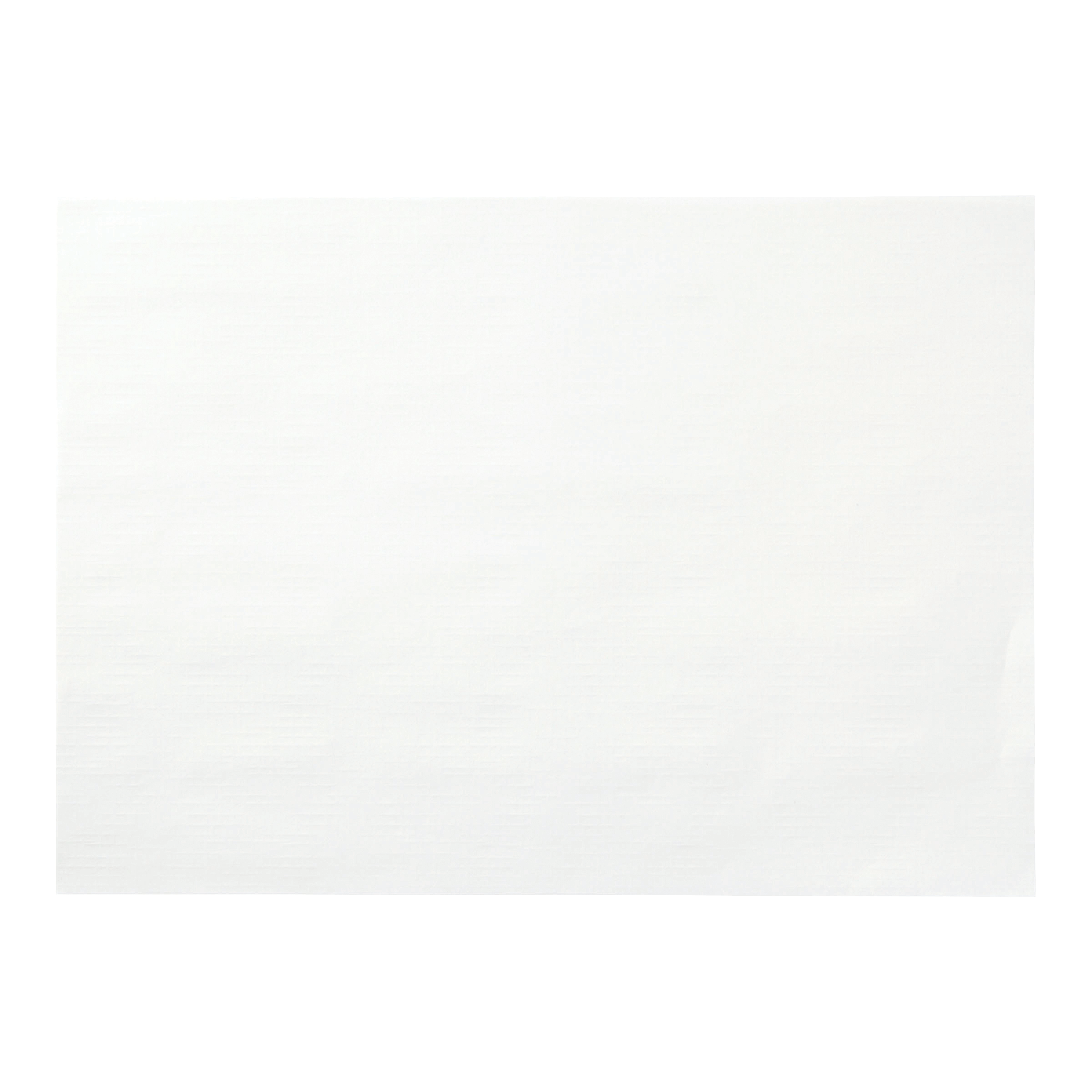 10 in x 14 in Homespun White Paper Placemats 1000 ct.
