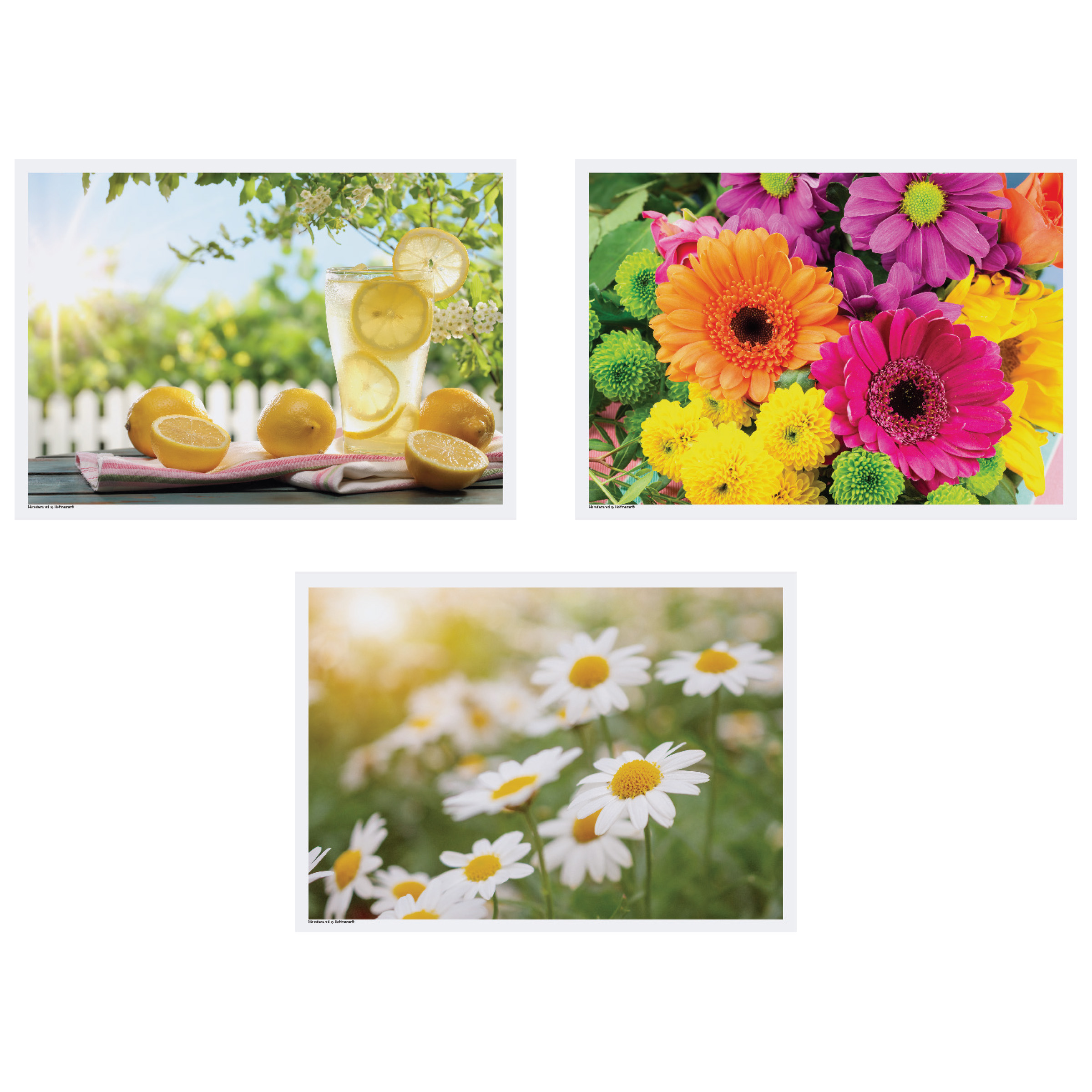 10 in x 14 in Summer Multipack Paper Placemats 1000 ct.