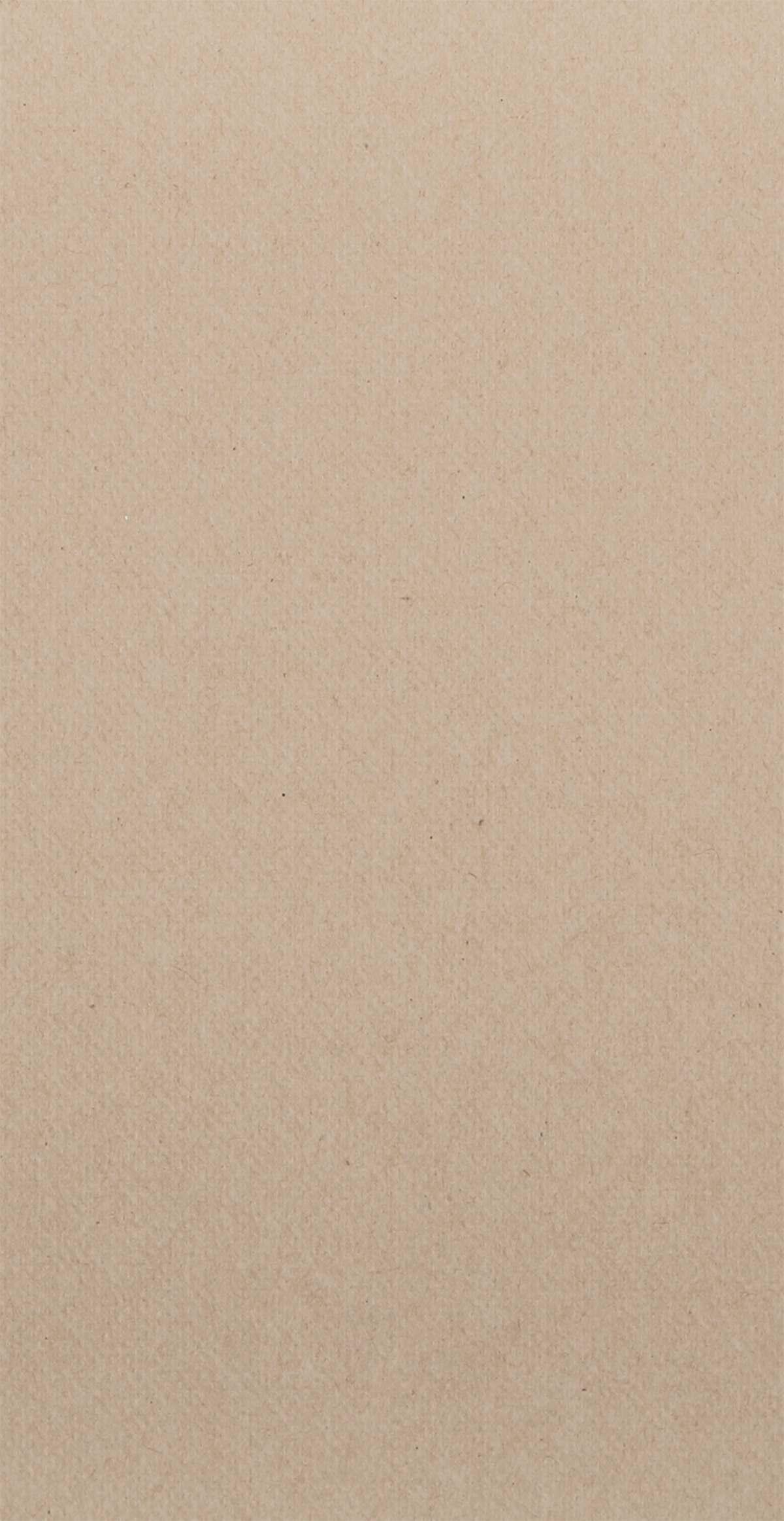 8 in x 4 in FashnPoint Natural Guest Towels 900 ct