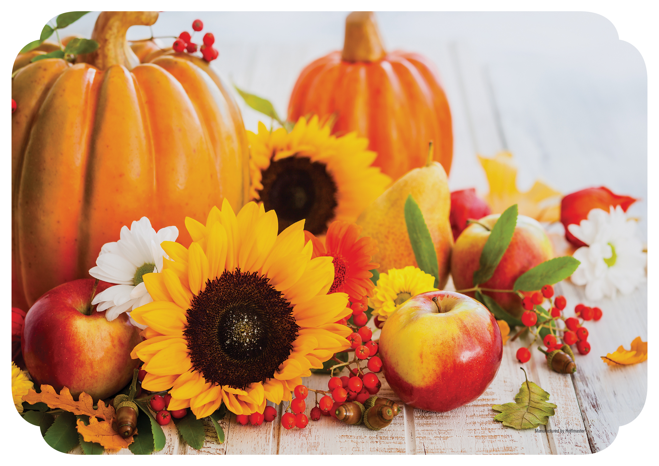 10 in x 14 in Fall Harvest Paper Placemats 1000 ct.