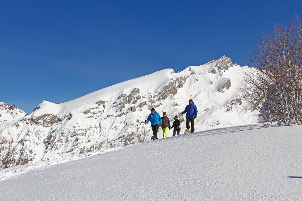 Gourette raquette 03 ©CDT64-B.Labé