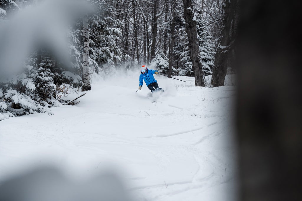 Black Mountain NH pow