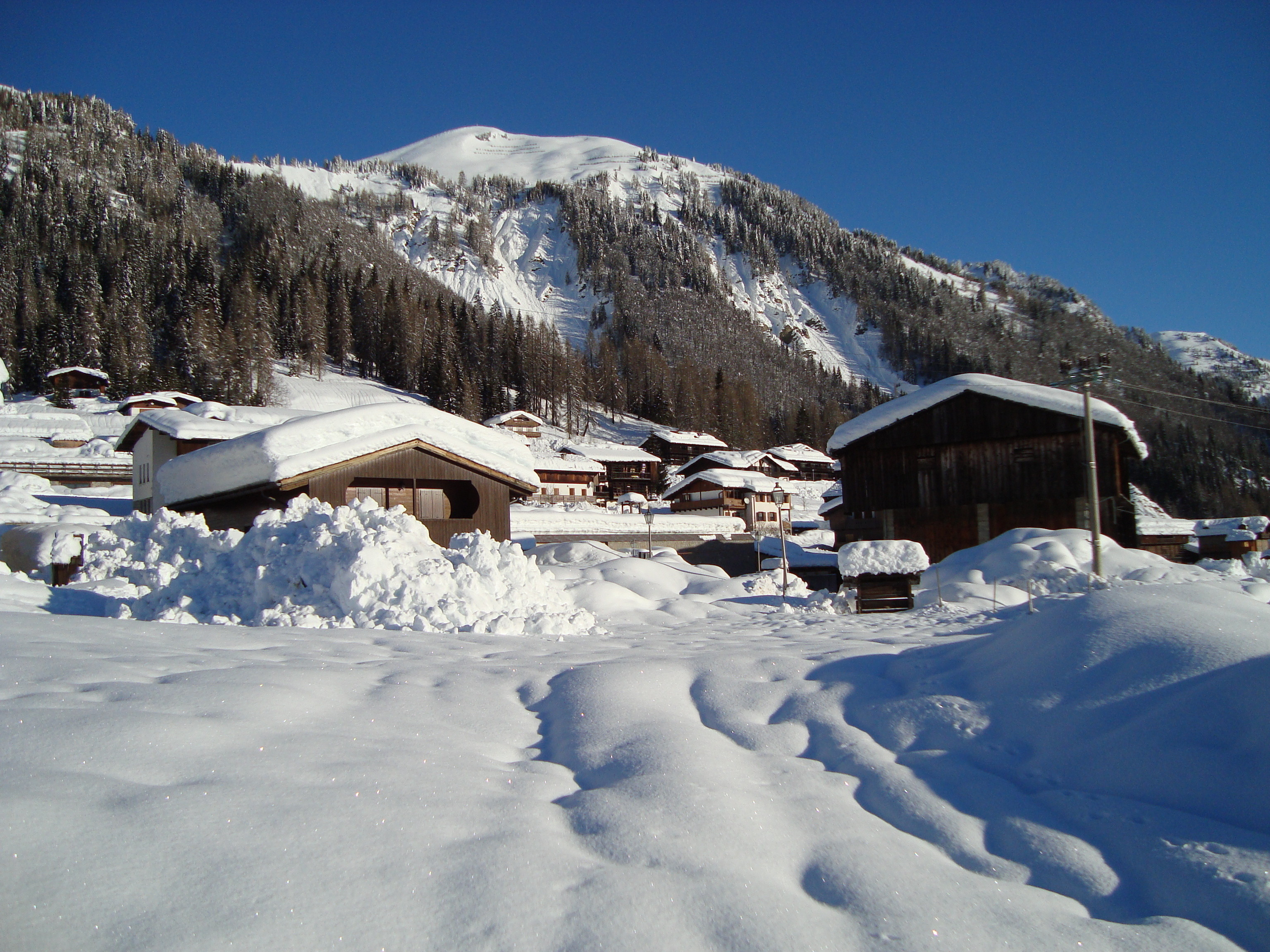 Sauris