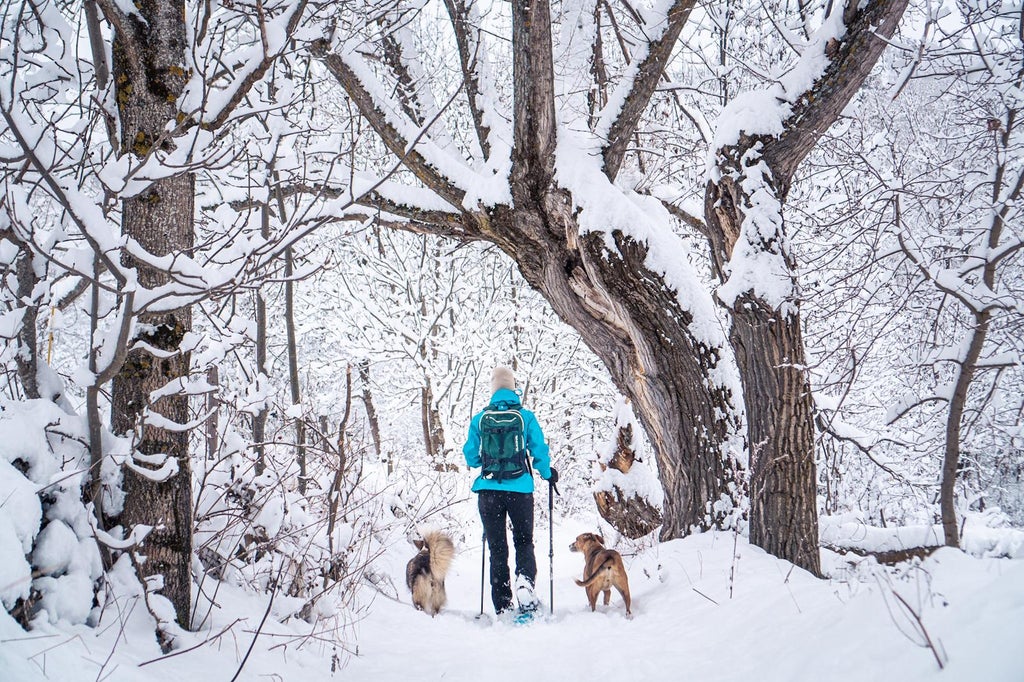 Les Angles Panoramique (1)