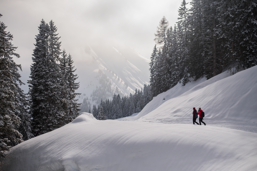 Reutte-Berwang, zur Ehenbichler Alm Tirol Werbung Koopmann Jörg Berwang-3