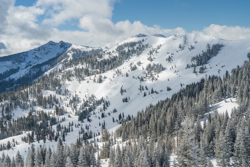 Palisades Tahoe_Alpine Scenics_Powder_(c): Palisades Tahoe