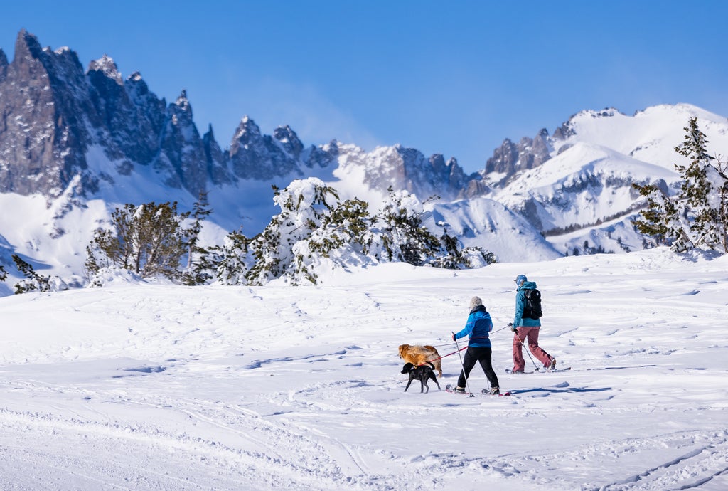 Mammoth Lakes Winter Snowshoeing